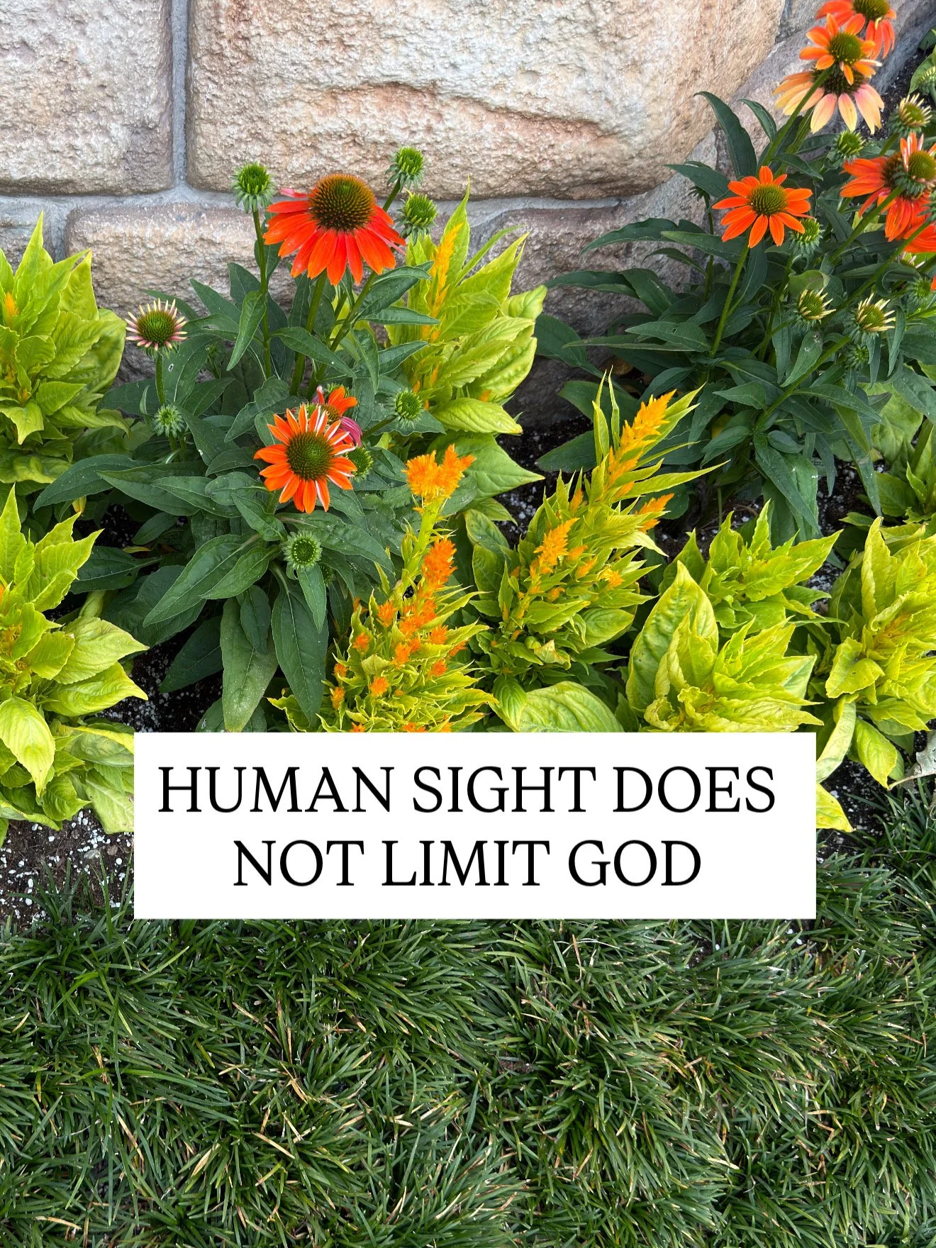 HUMAN SIGHT DOES NOT LIMIT GOD
