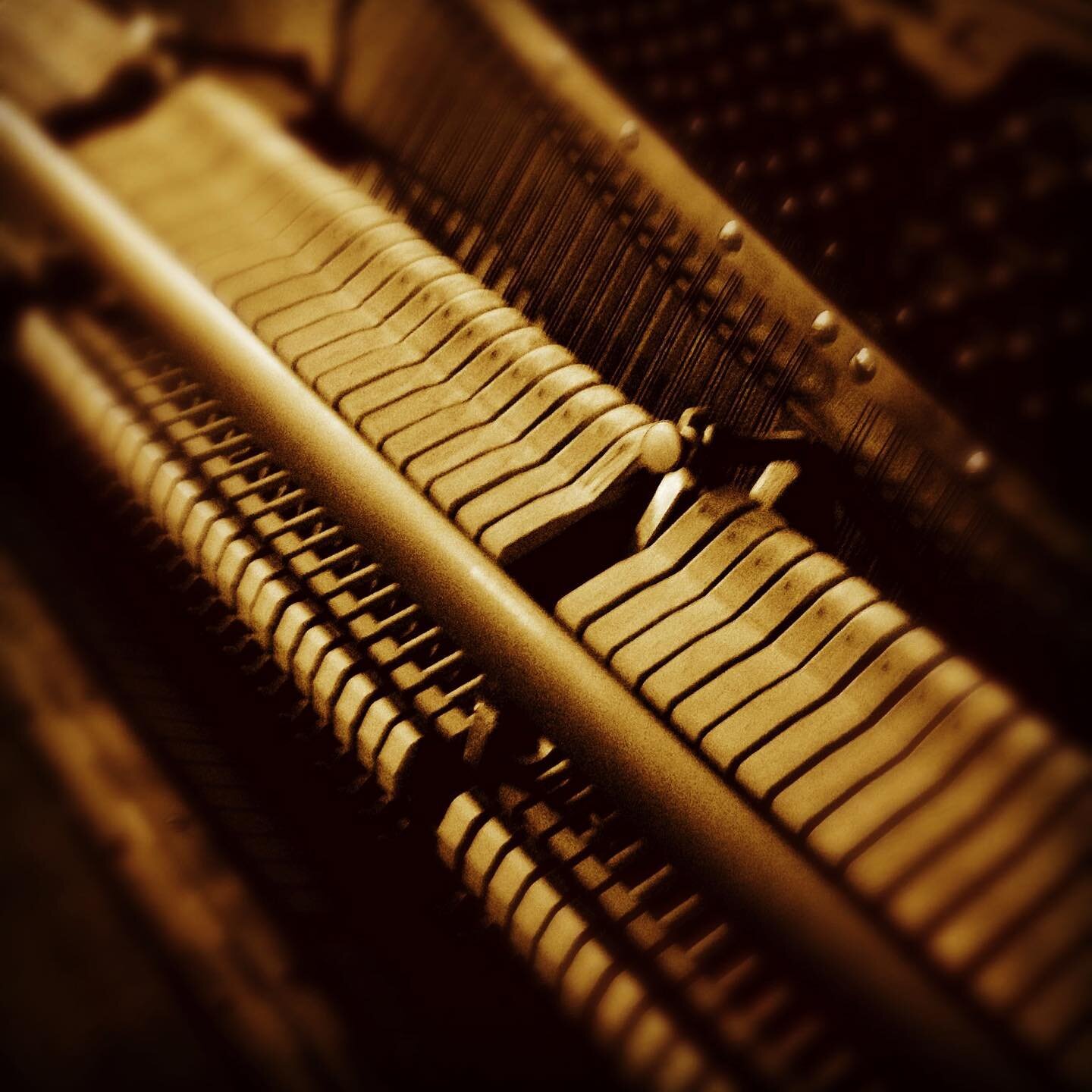 Internal mechanics #piano #pianist #davidvincentmills #firstpostoninstagram #steinway