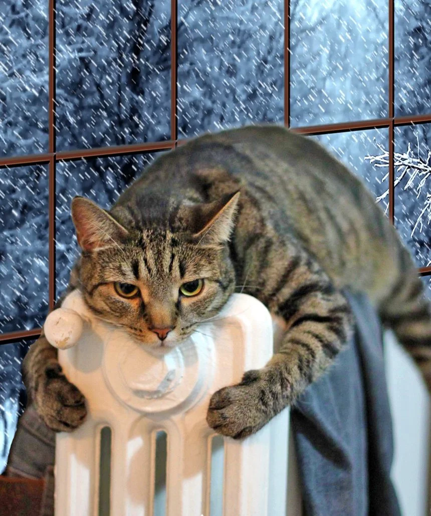 Heating-Fuel.jpg
