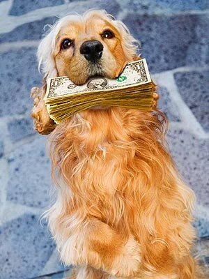 Where-Has-The-Deposit-Money-Gone.jpg