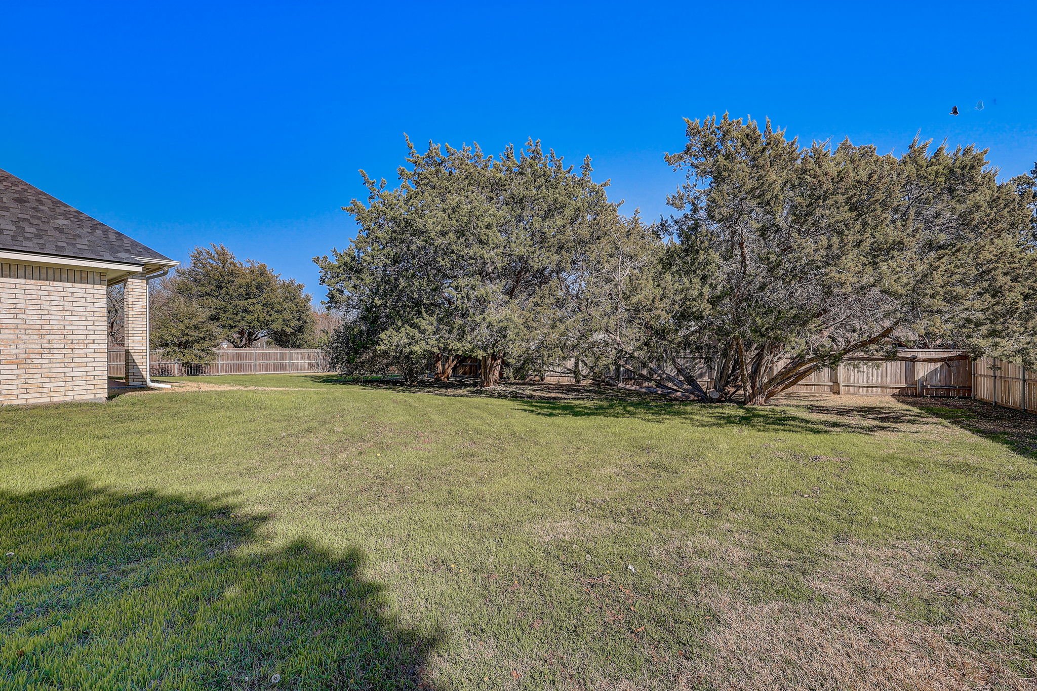 41-web-or-mls-Bellwood Dr -039.jpg