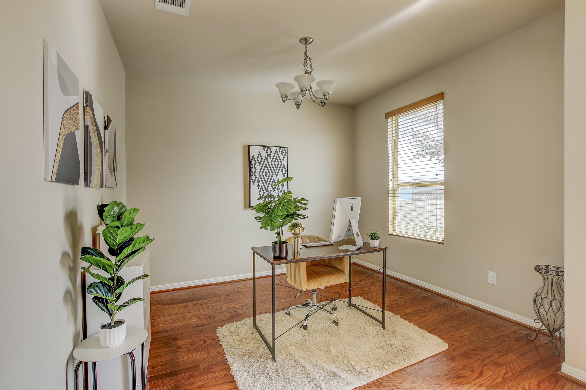 11300 Birlandier_6.jpg