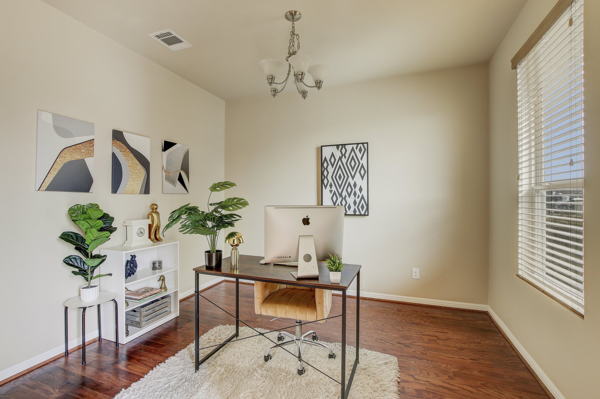 11300 Birlandier_7.jpg