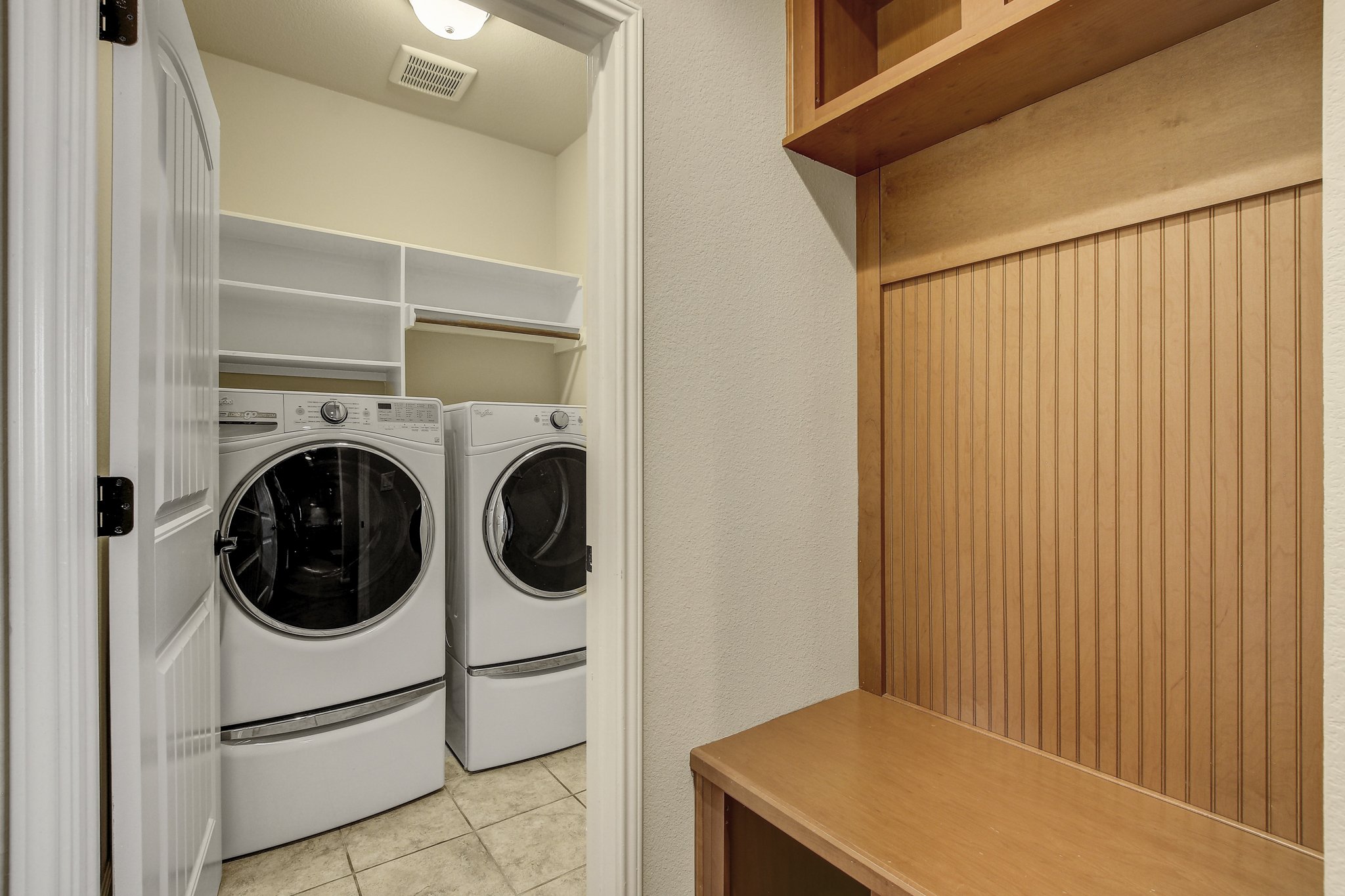 11300 Birlandier_9.jpg