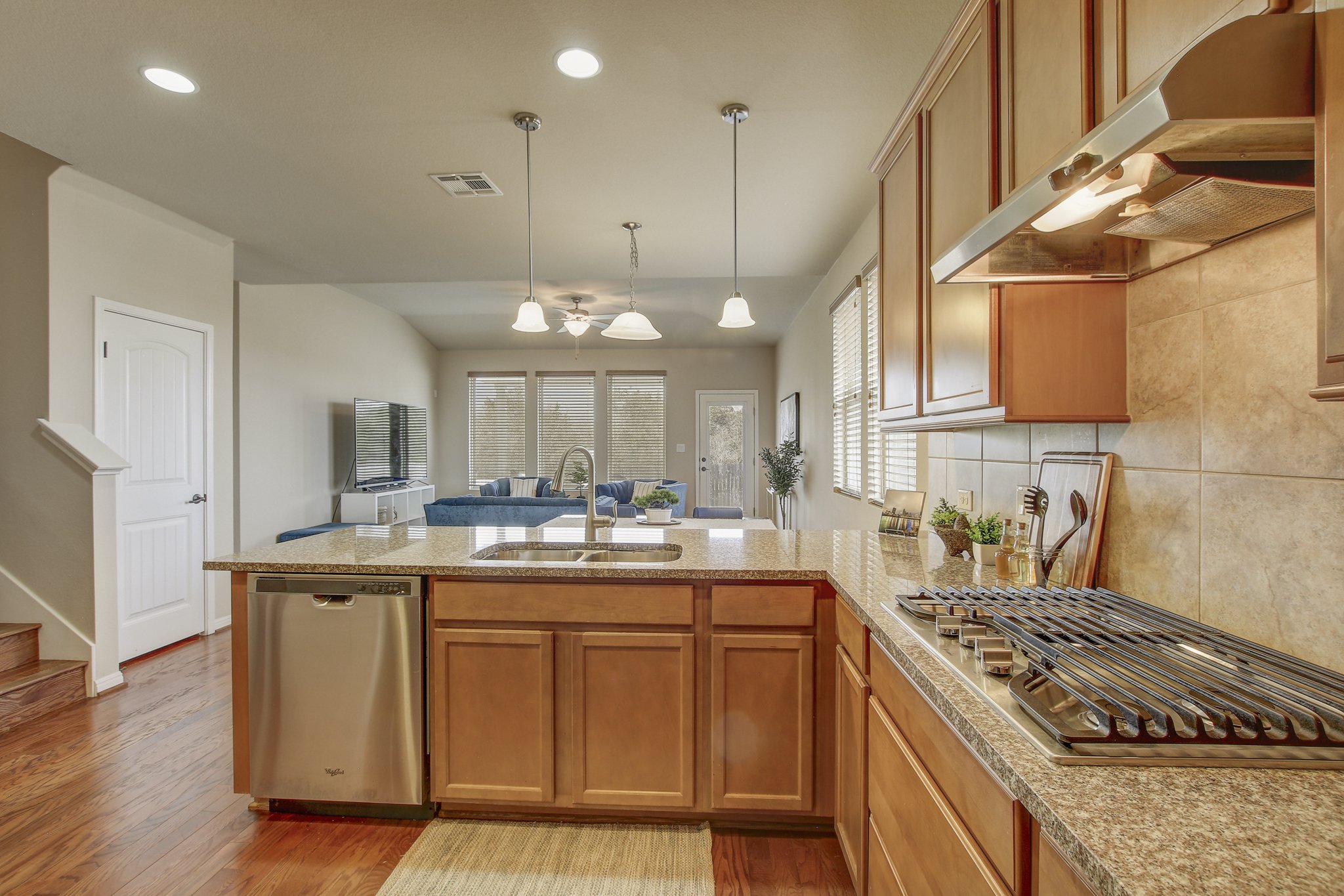 11300 Birlandier_15.jpg