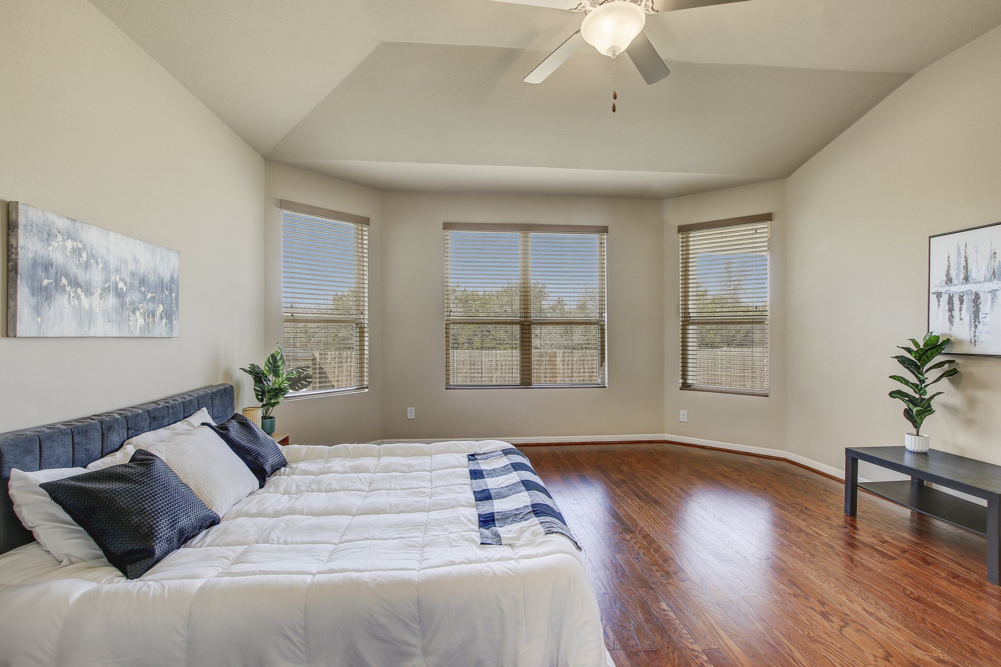 11300 Birlandier_26.jpg