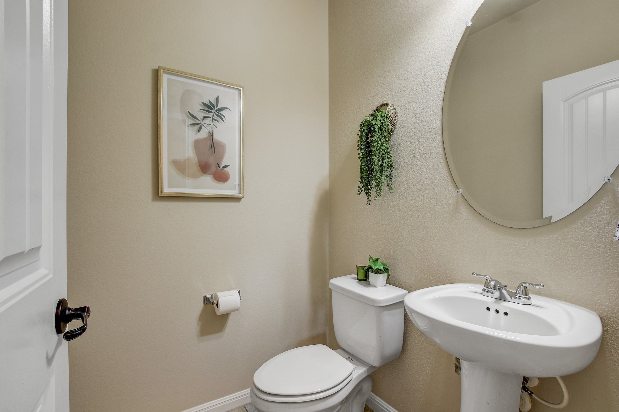 11300 Birlandier_32.jpg