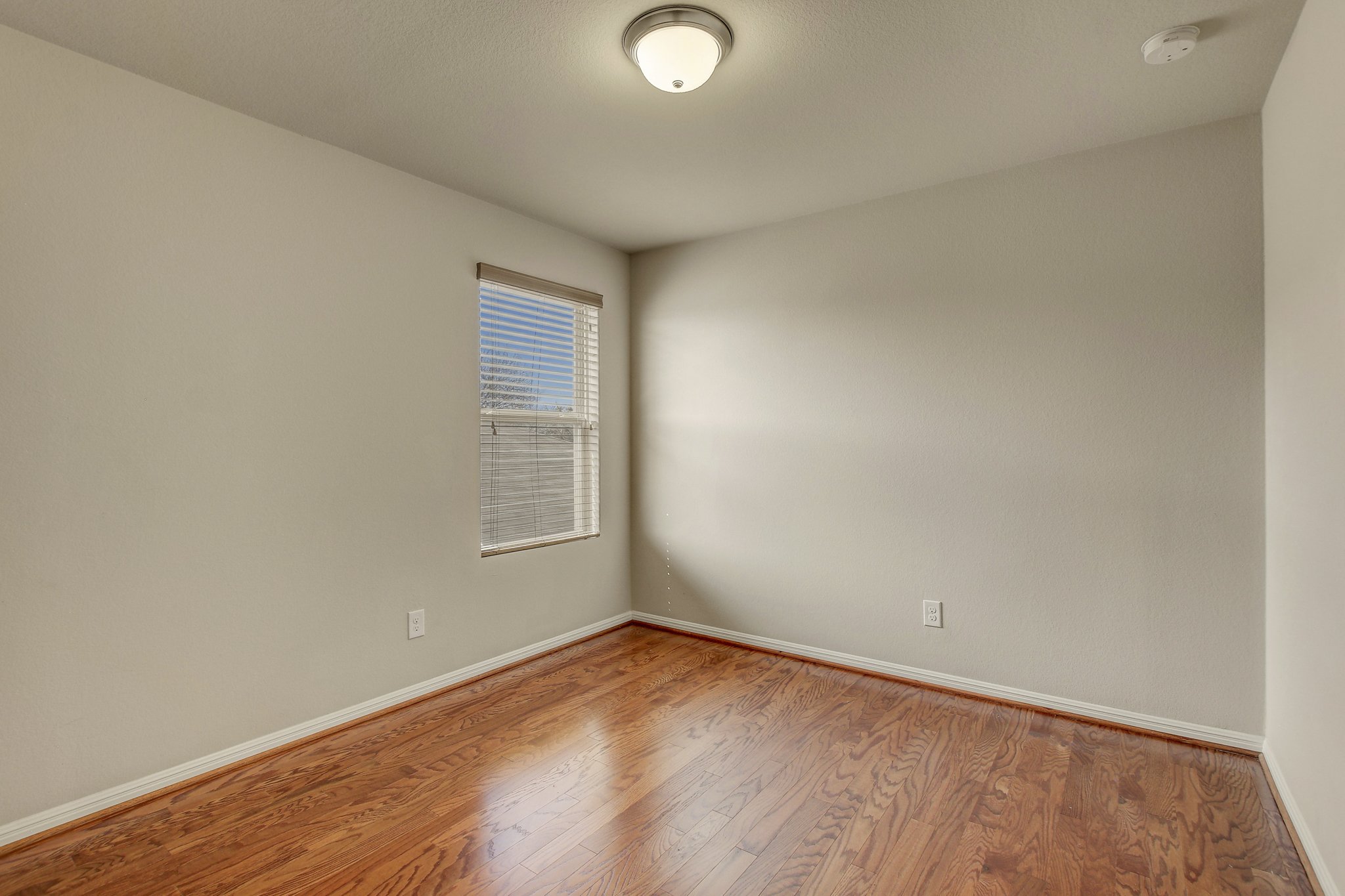 11300 Birlandier_42.jpg