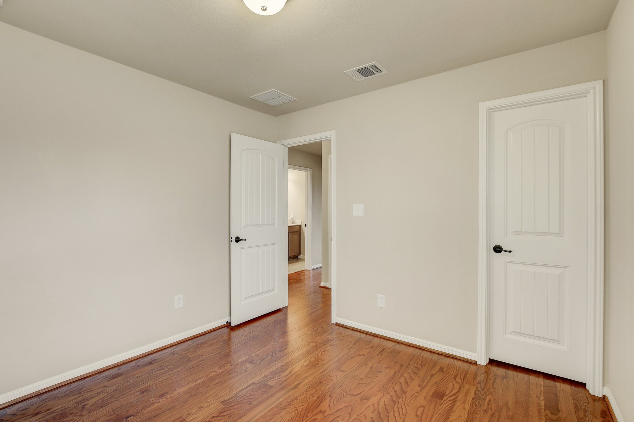 11300 Birlandier_43.jpg