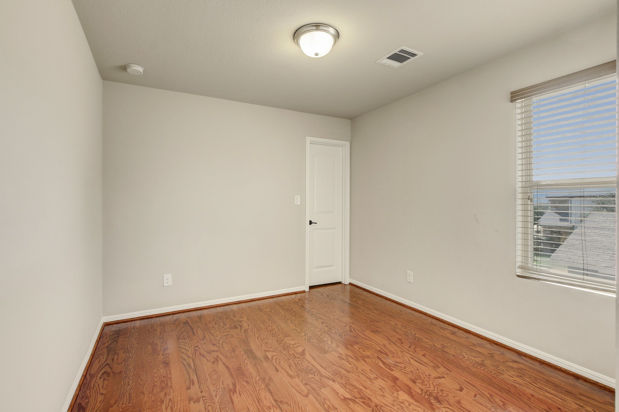 11300 Birlandier_44.jpg