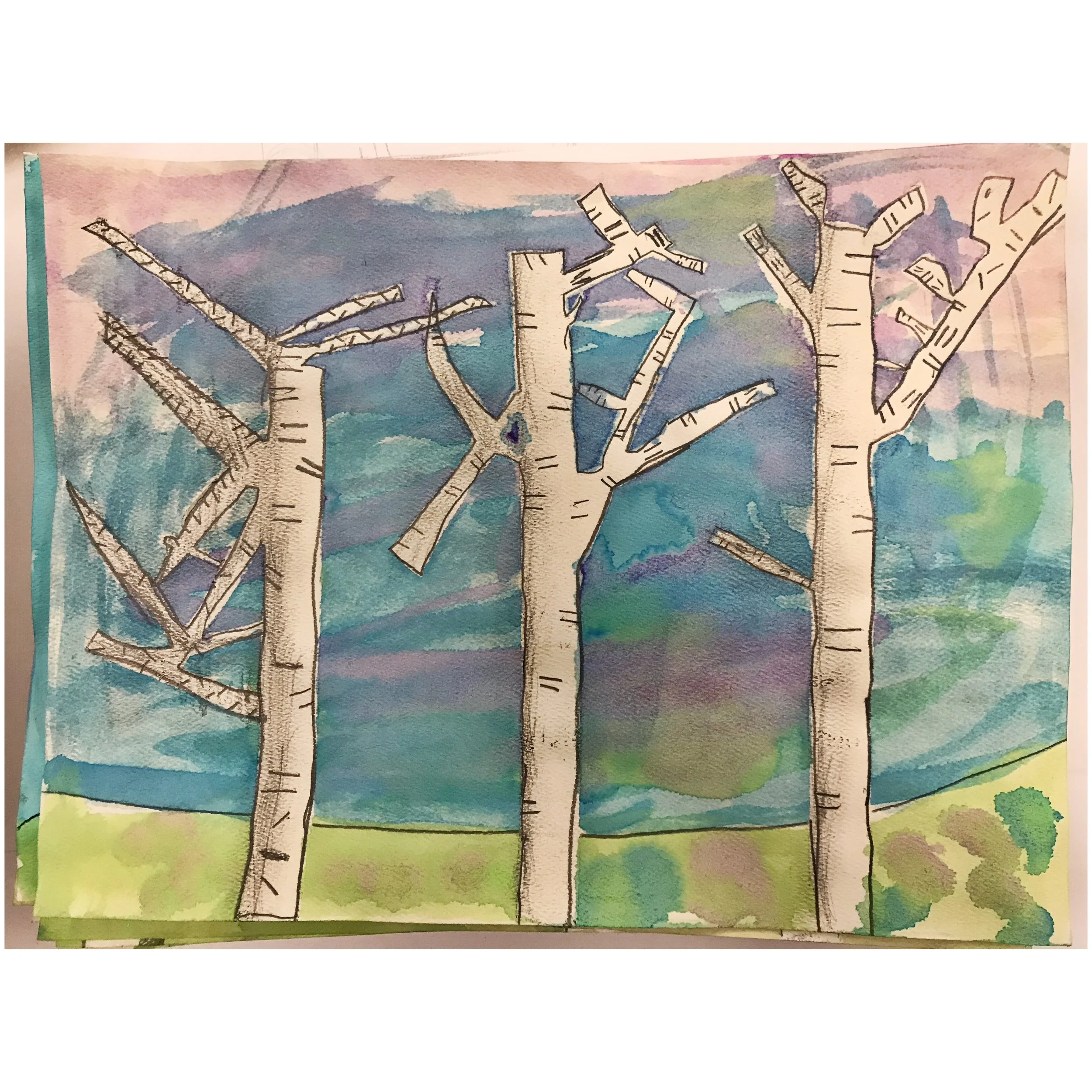 2nd grade Birch Trees