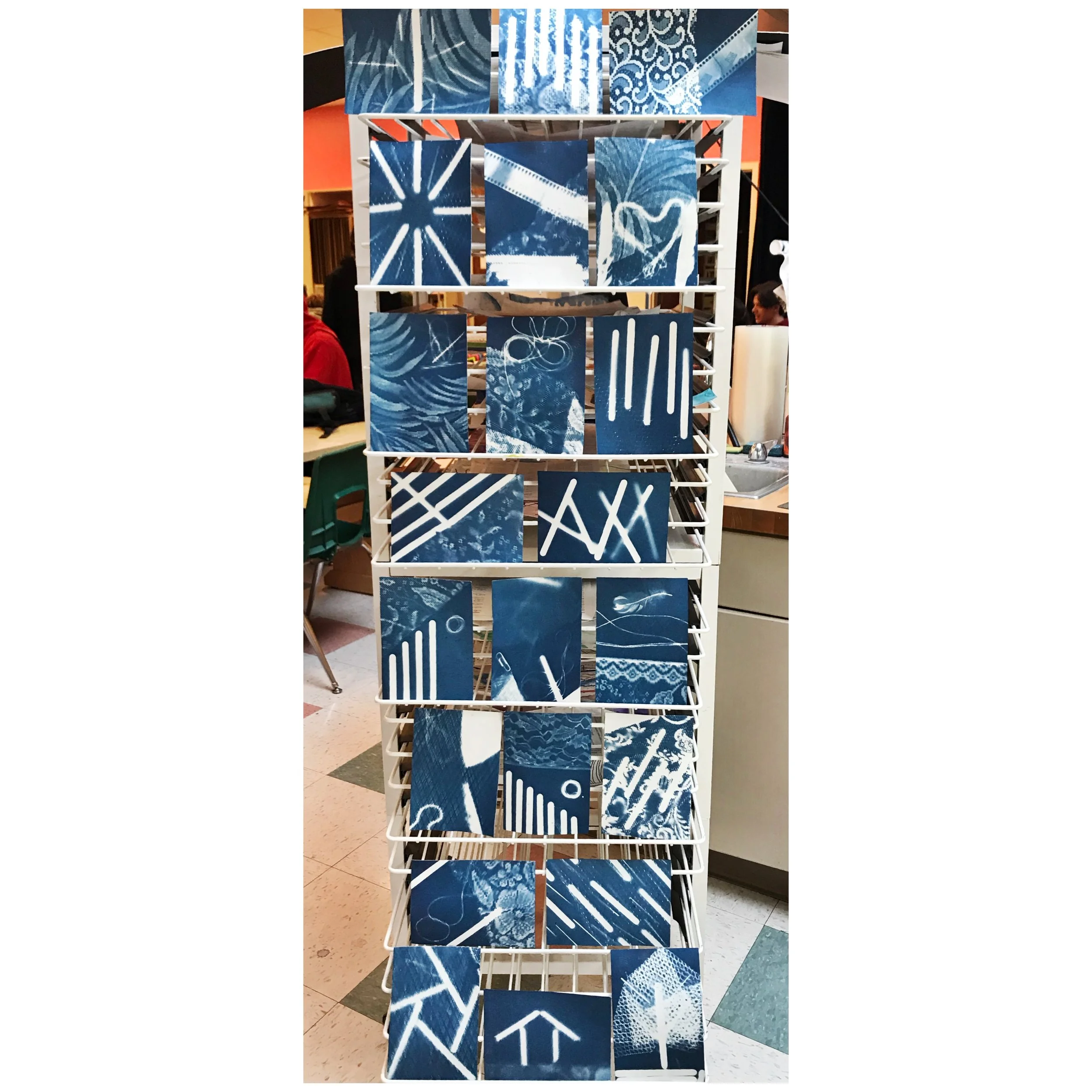 Photography 1 - Cyanotype