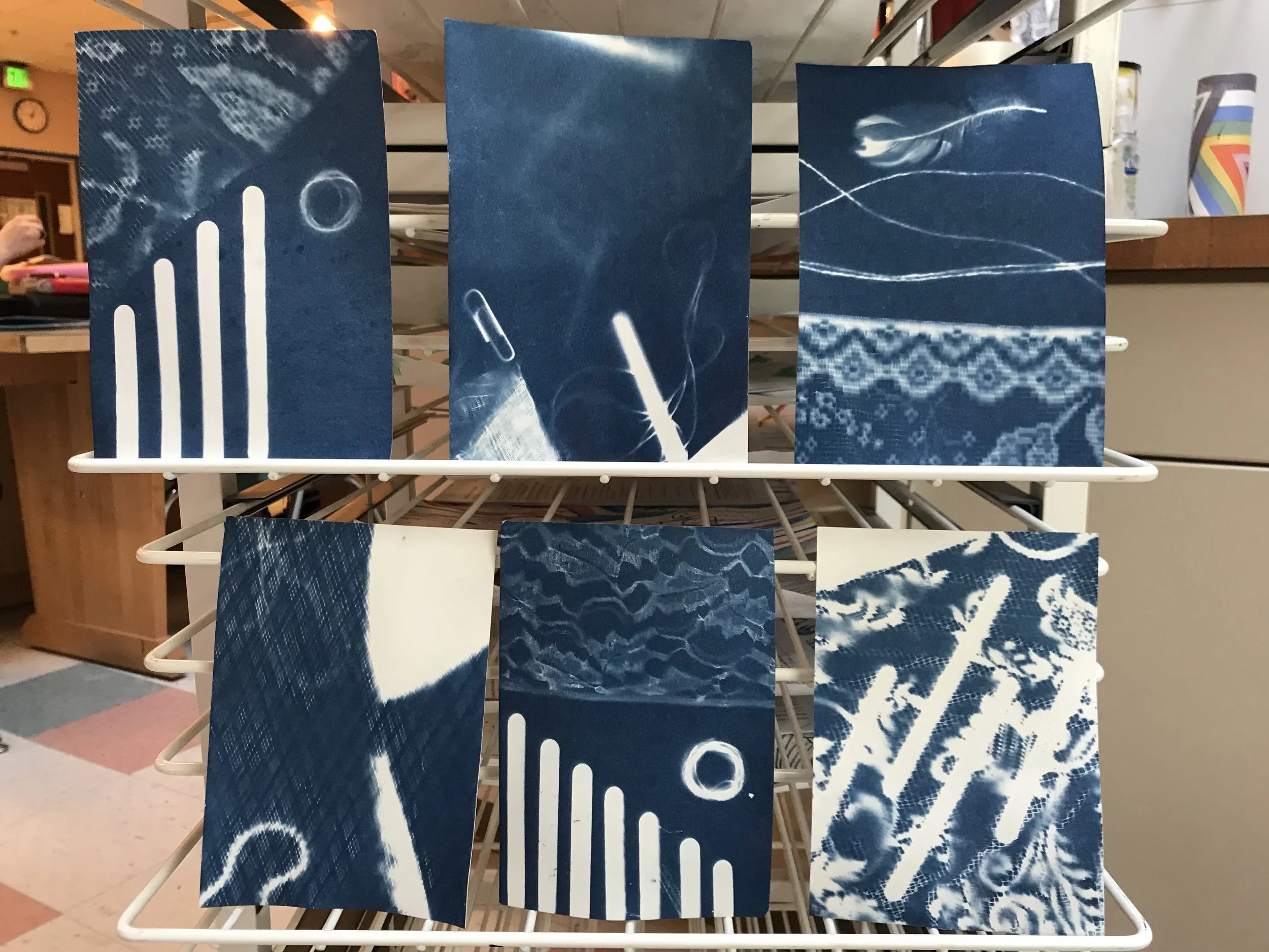 Photography 1 - Cyanotype
