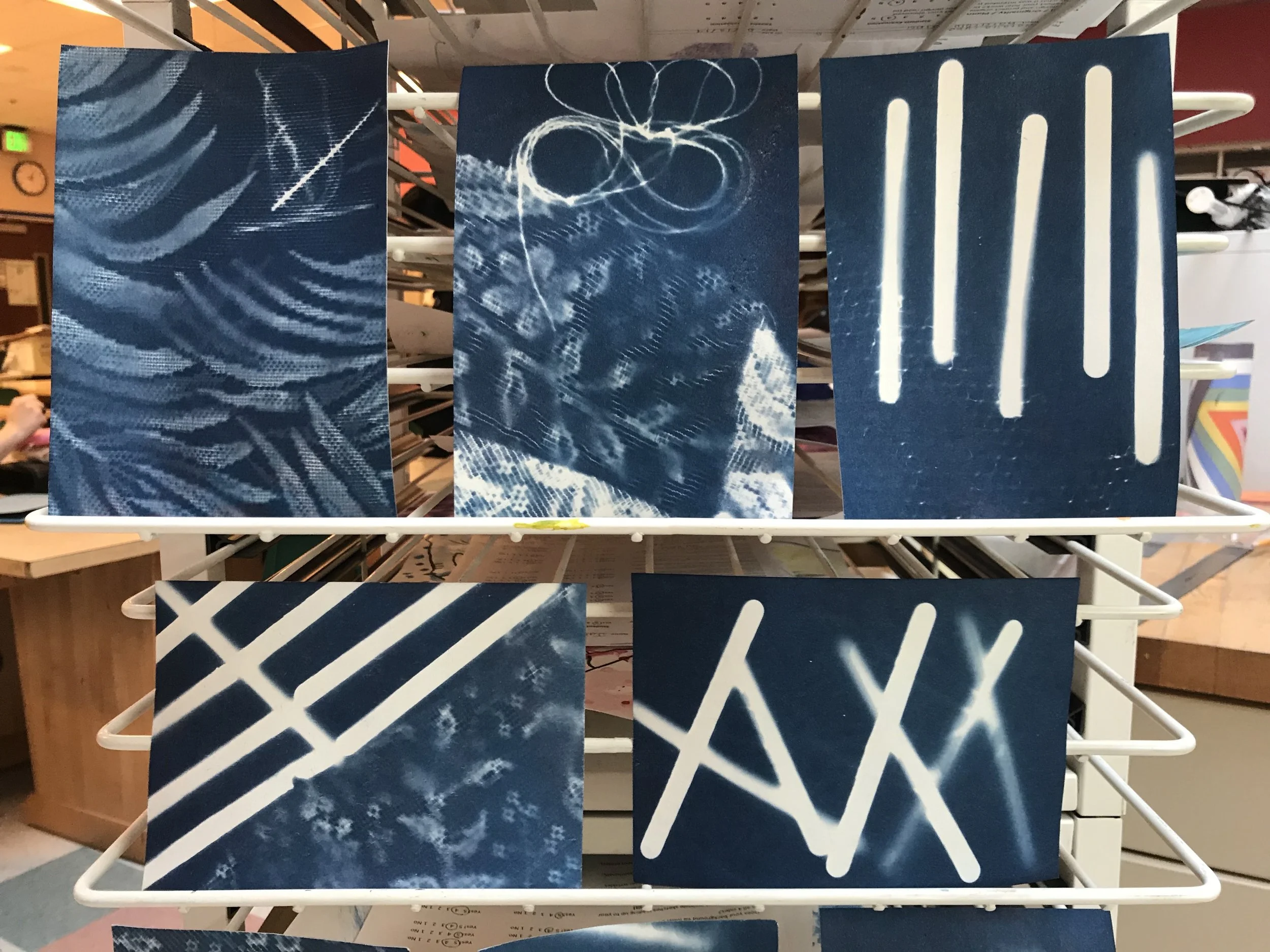 Photography 1 - Cyanotype