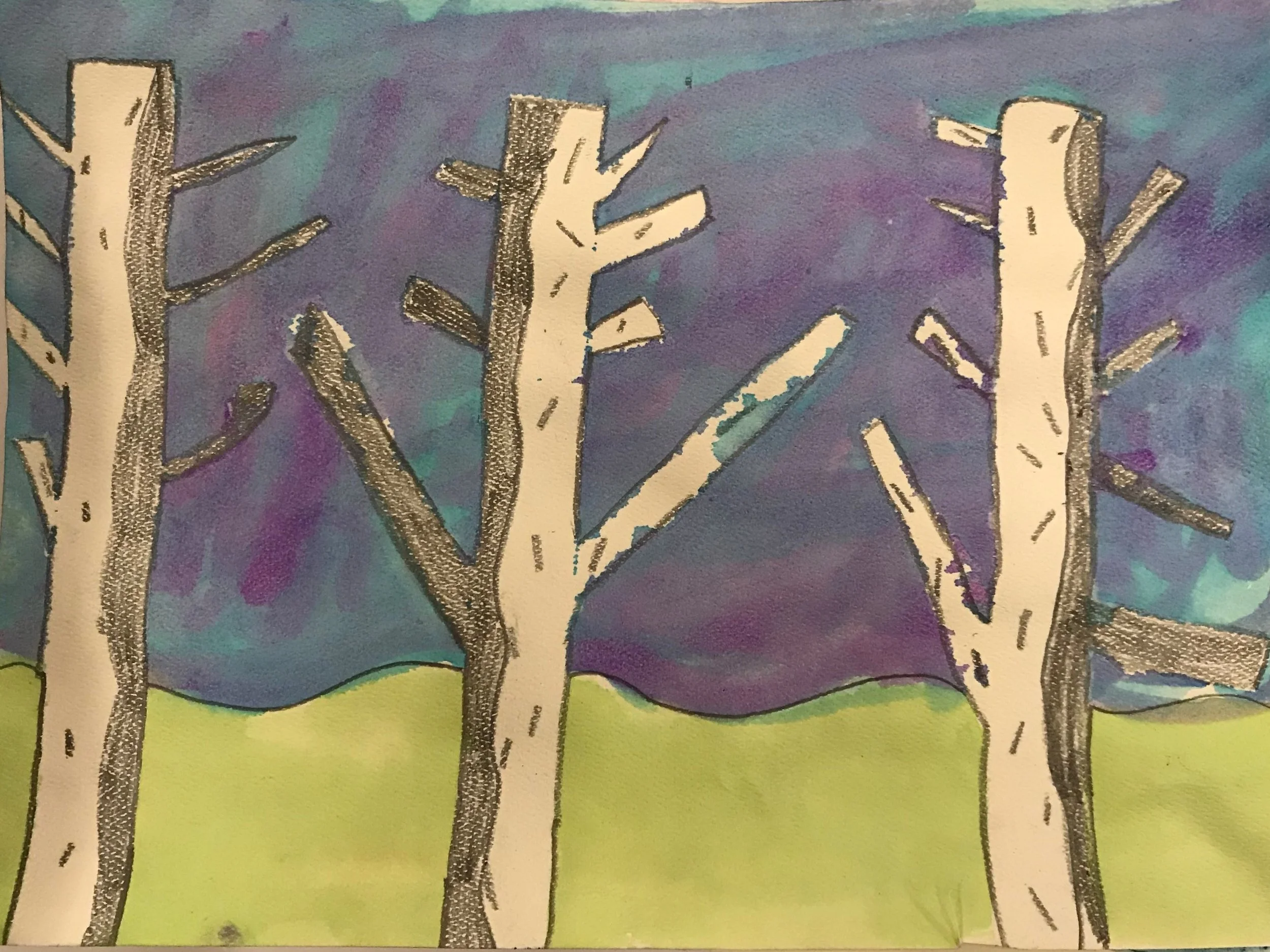 2nd grade Birch Trees