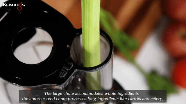 REVO830 Celery in Chute