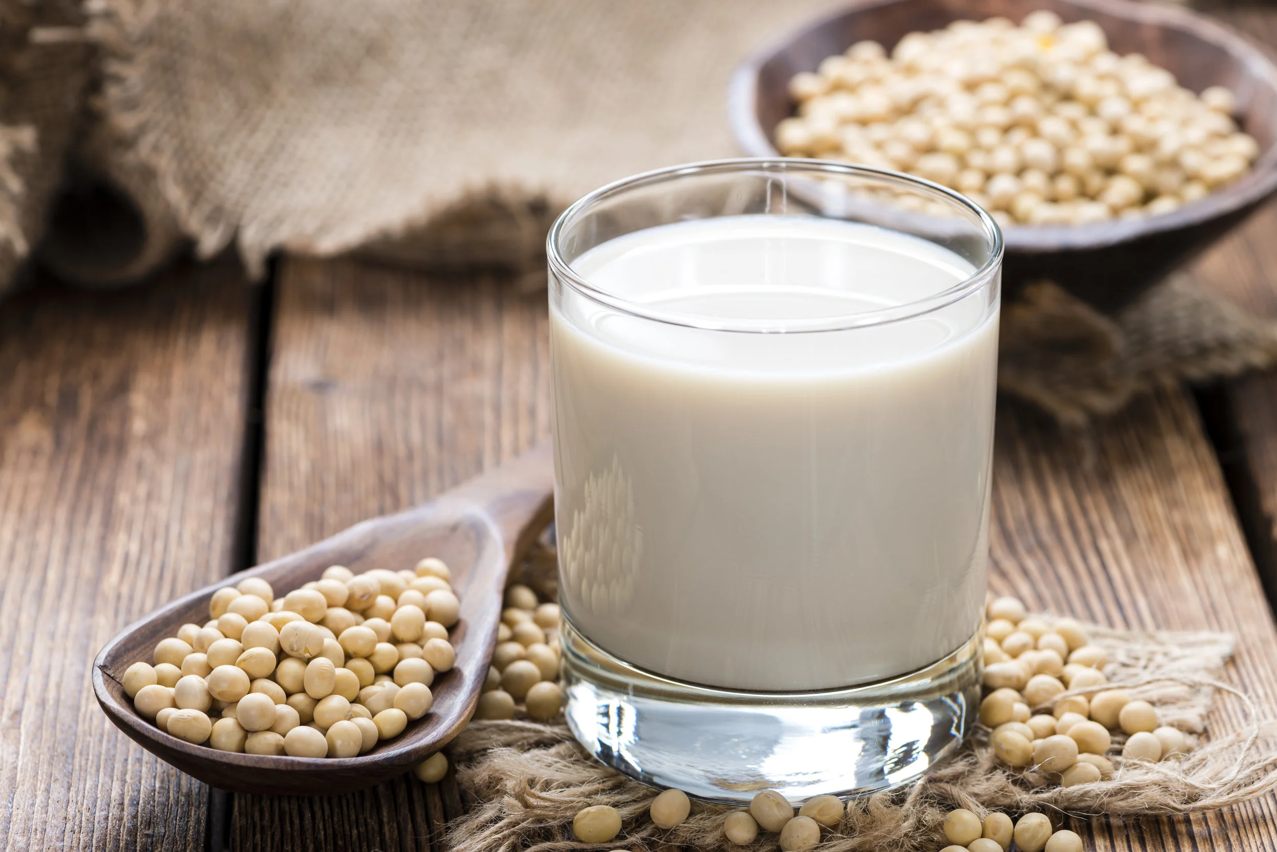 Make Healthy Soy Milk