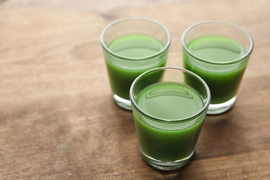 Make a Chlorophyll Shot