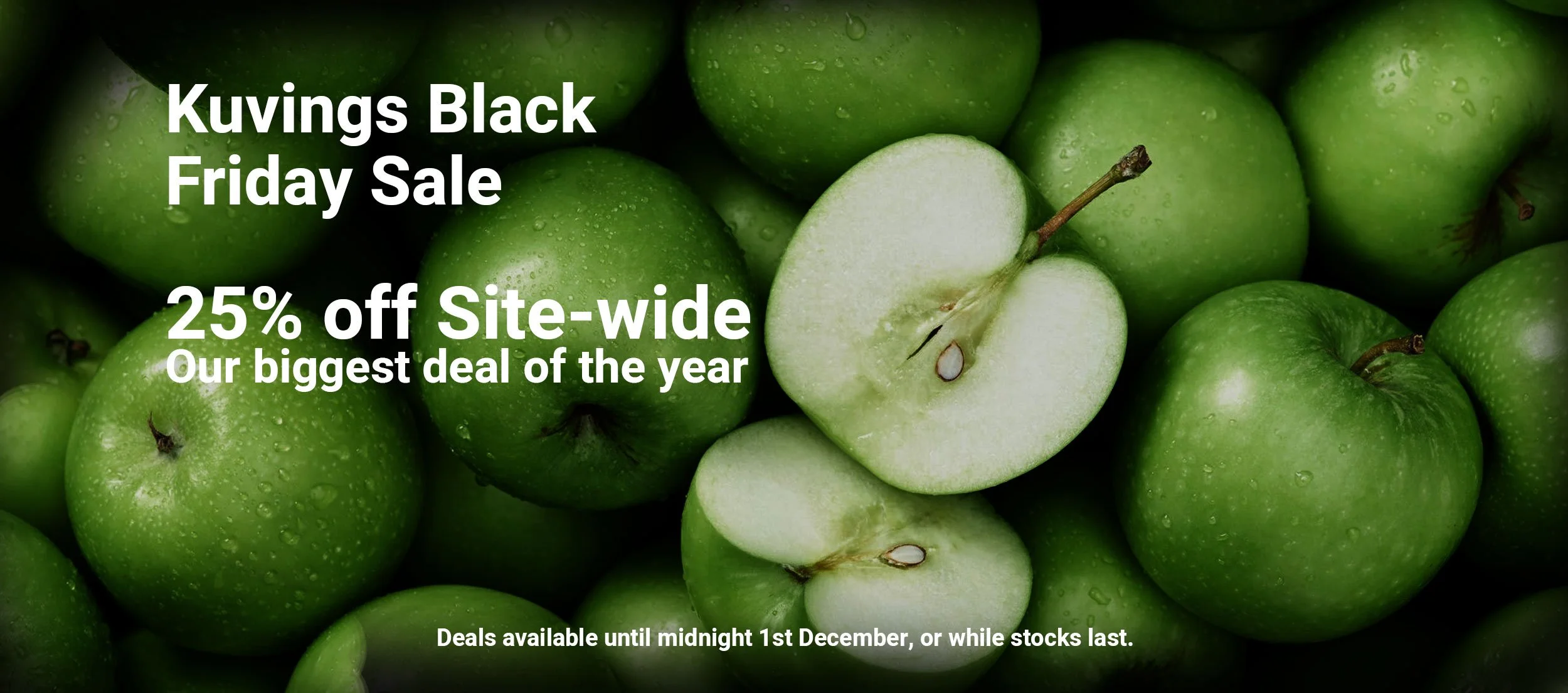 Black Friday Sale