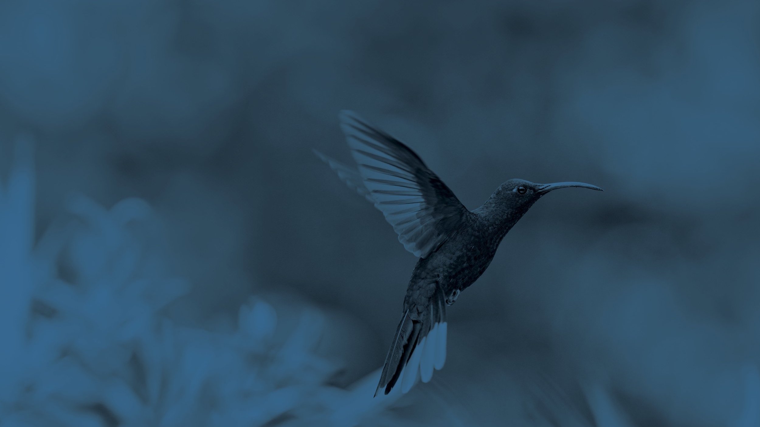 From Rule-Based Logic to AI Mastery: Why Getting AI Right Today Matters More Than Ever