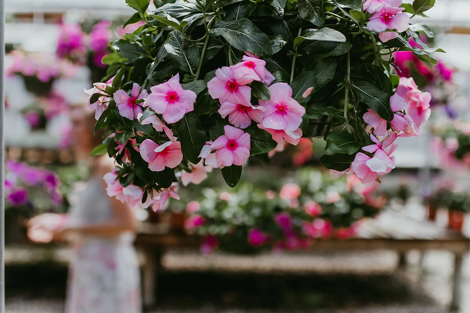 Mother's Day trip to the Nursery...