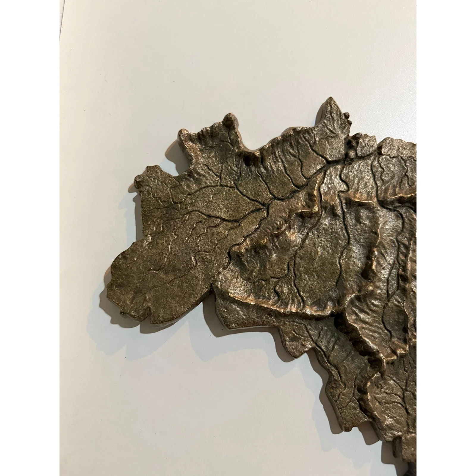 hand-forged-bronze-map-of-brazil-with-elevated-topography-1980s-1853