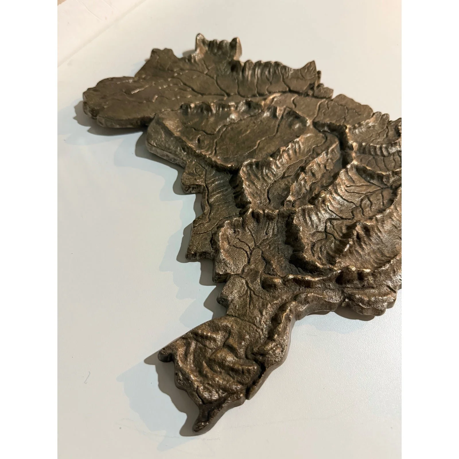 hand-forged-bronze-map-of-brazil-with-elevated-topography-1980s-8503