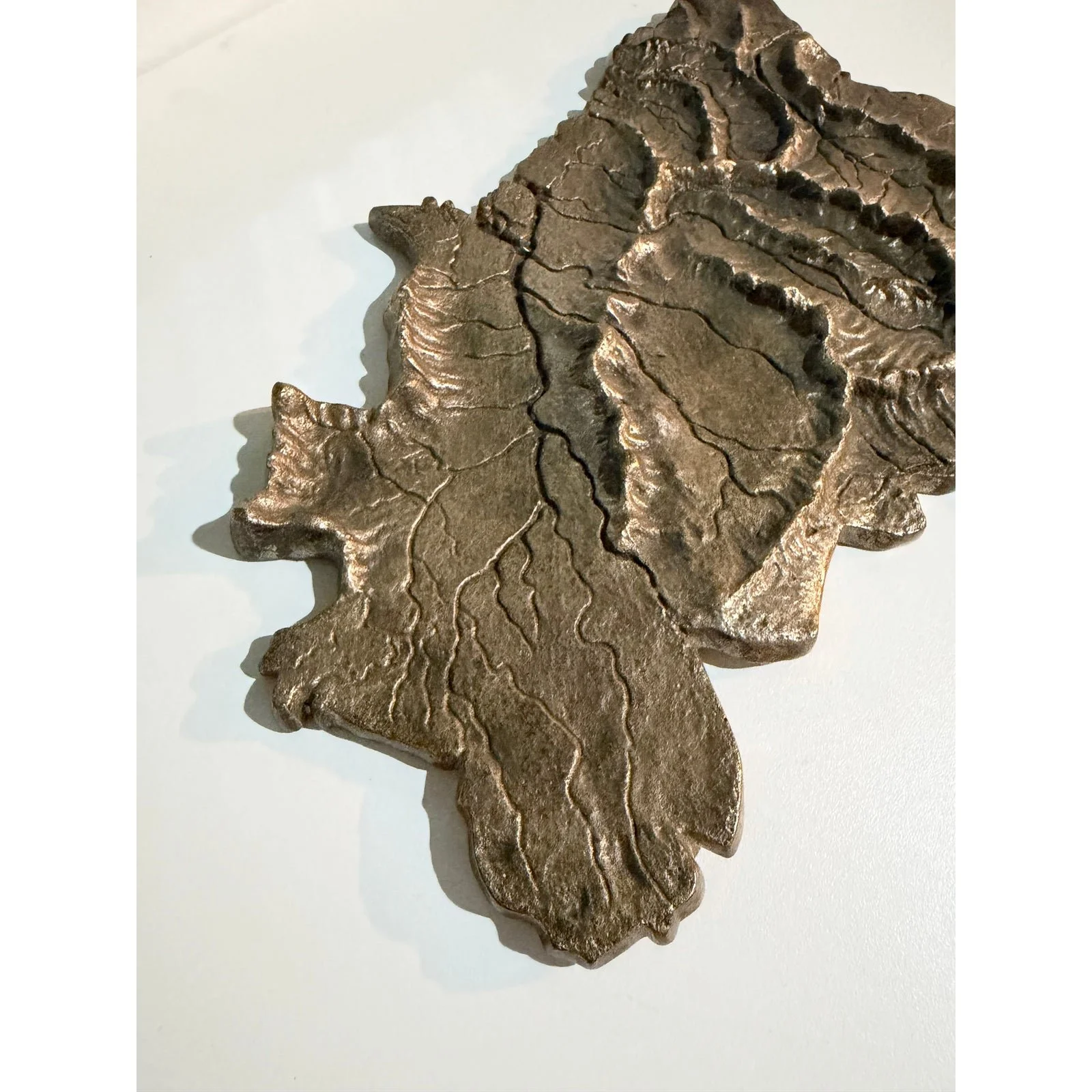 hand-forged-bronze-map-of-brazil-with-elevated-topography-1980s-5156