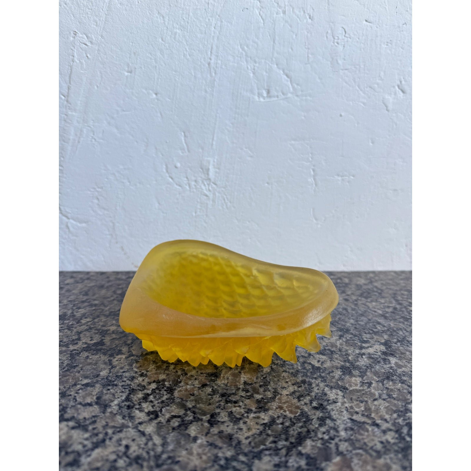 mid-century-brazilian-modern-acrylic-catch-all-dish-with-scaly-underside-3167