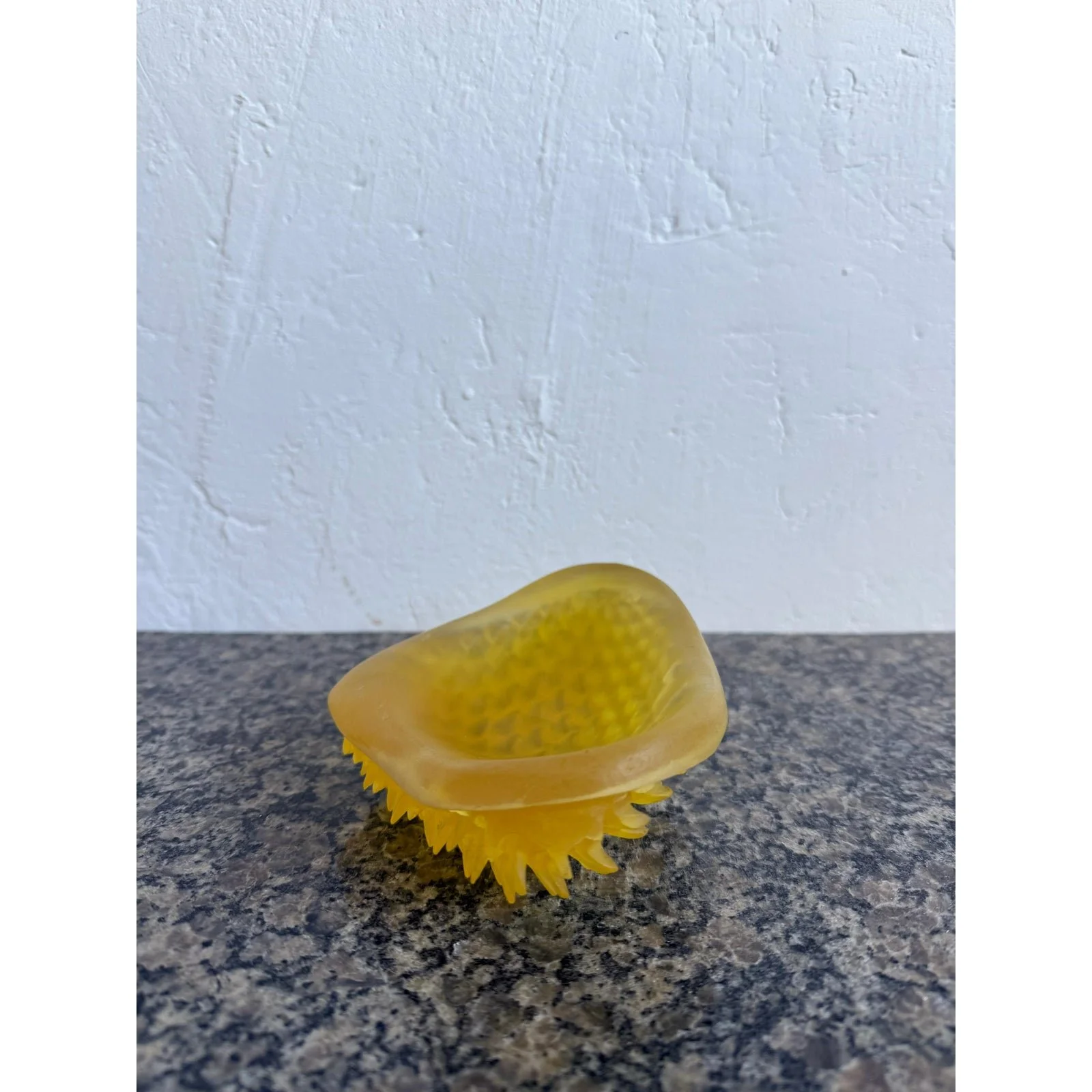 mid-century-brazilian-modern-acrylic-catch-all-dish-with-scaly-underside-3098