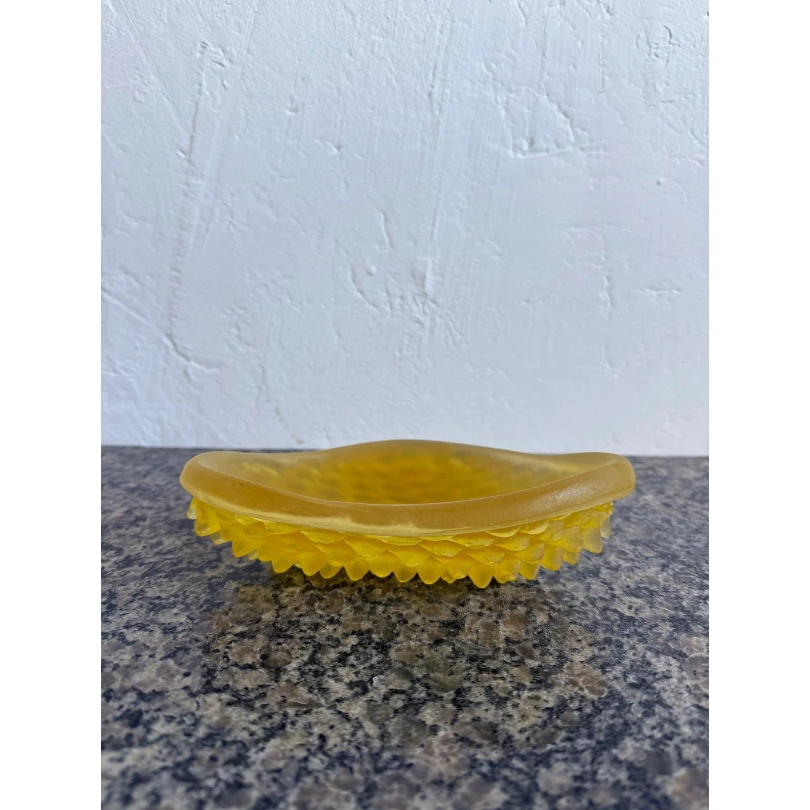 mid-century-brazilian-modern-acrylic-catch-all-dish-with-scaly-underside-8971