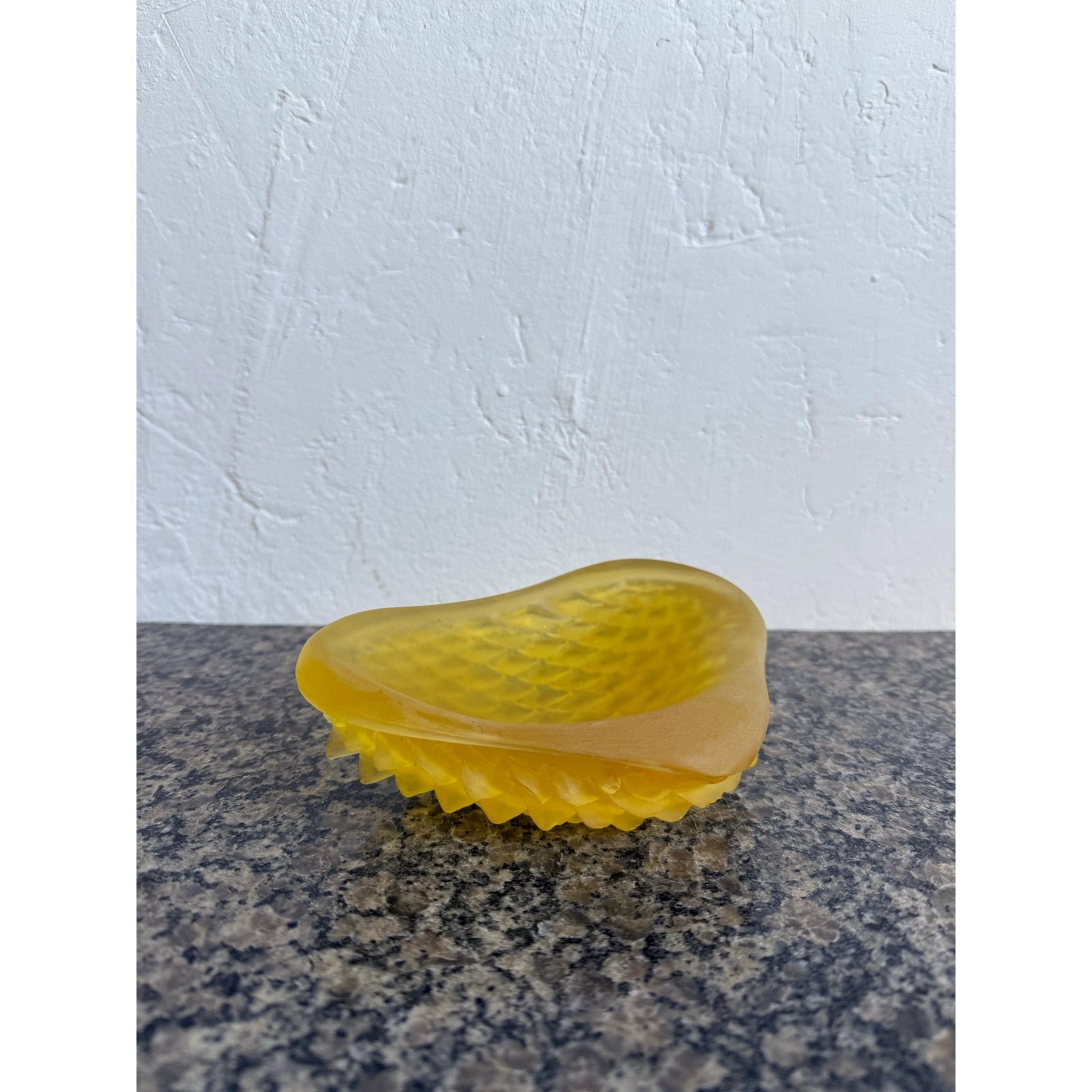 mid-century-brazilian-modern-acrylic-catch-all-dish-with-scaly-underside-4973