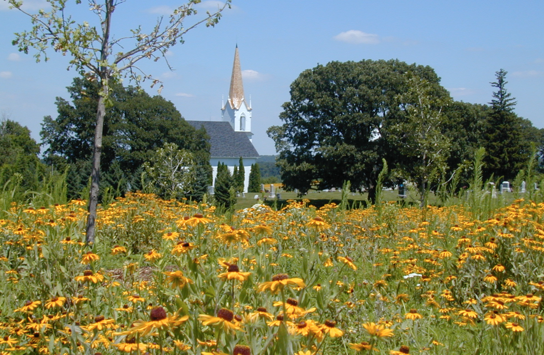 Screen Shot 2019-02-01 at 7.36.07 PM.png