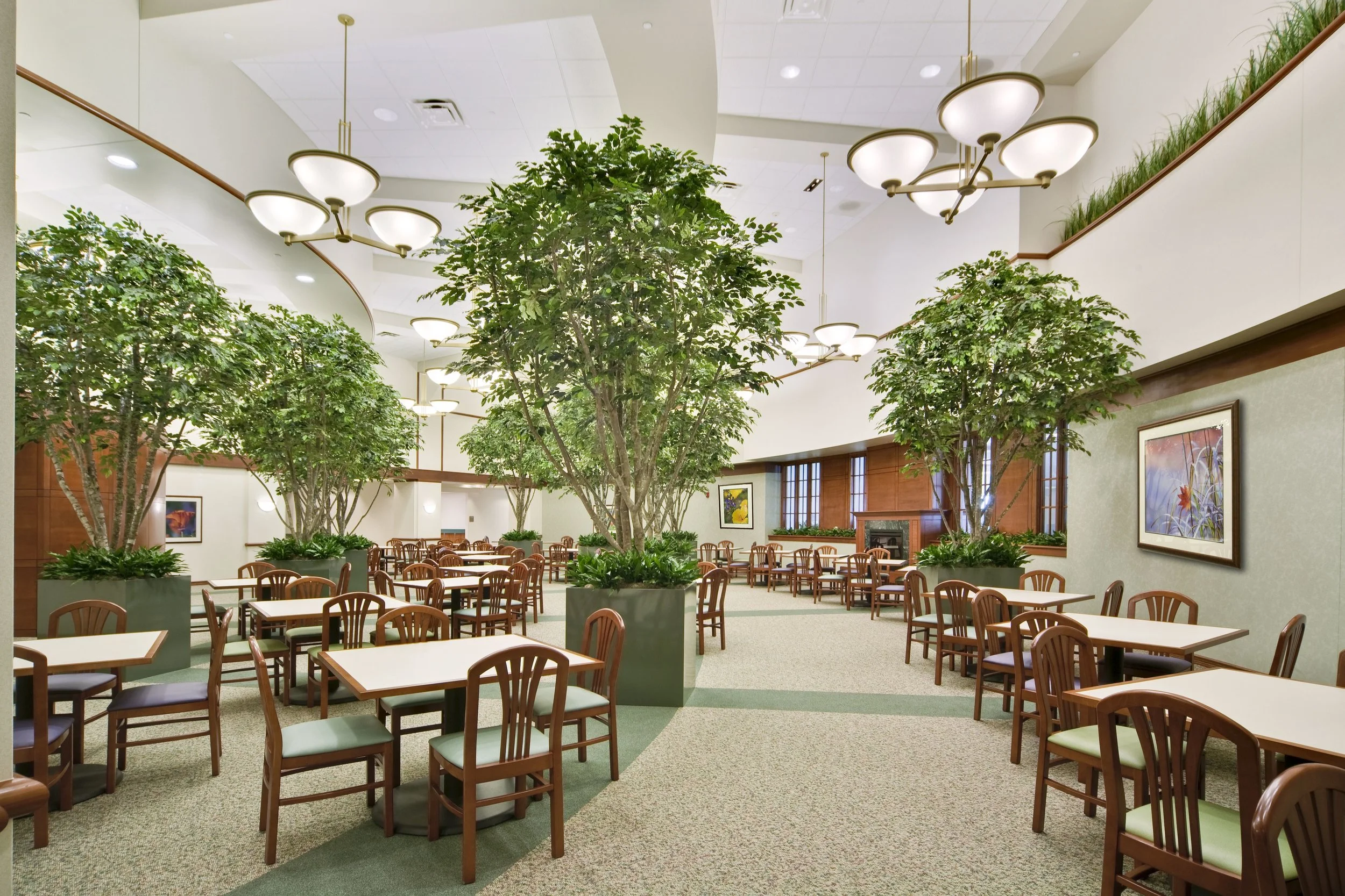 AURORA Summit PRO - Cafeteria orig.jpg