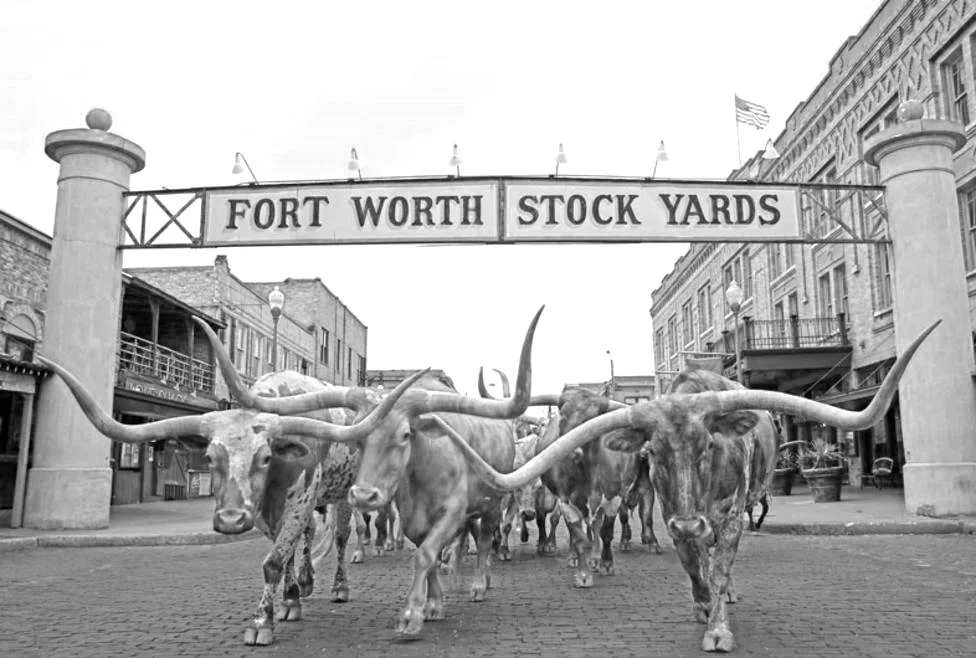 Fort-Worth-Stockyards20-76af21145056a34_76af2390-5056-a348-3ad86a9de25f520e.jpg