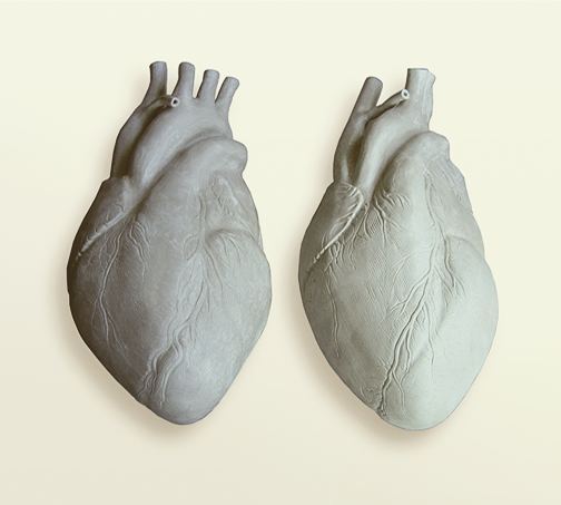 Two hearts are better than one, 2007, ceramic.