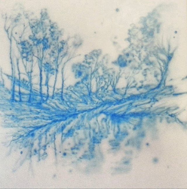 Blue Campaspe, 2009