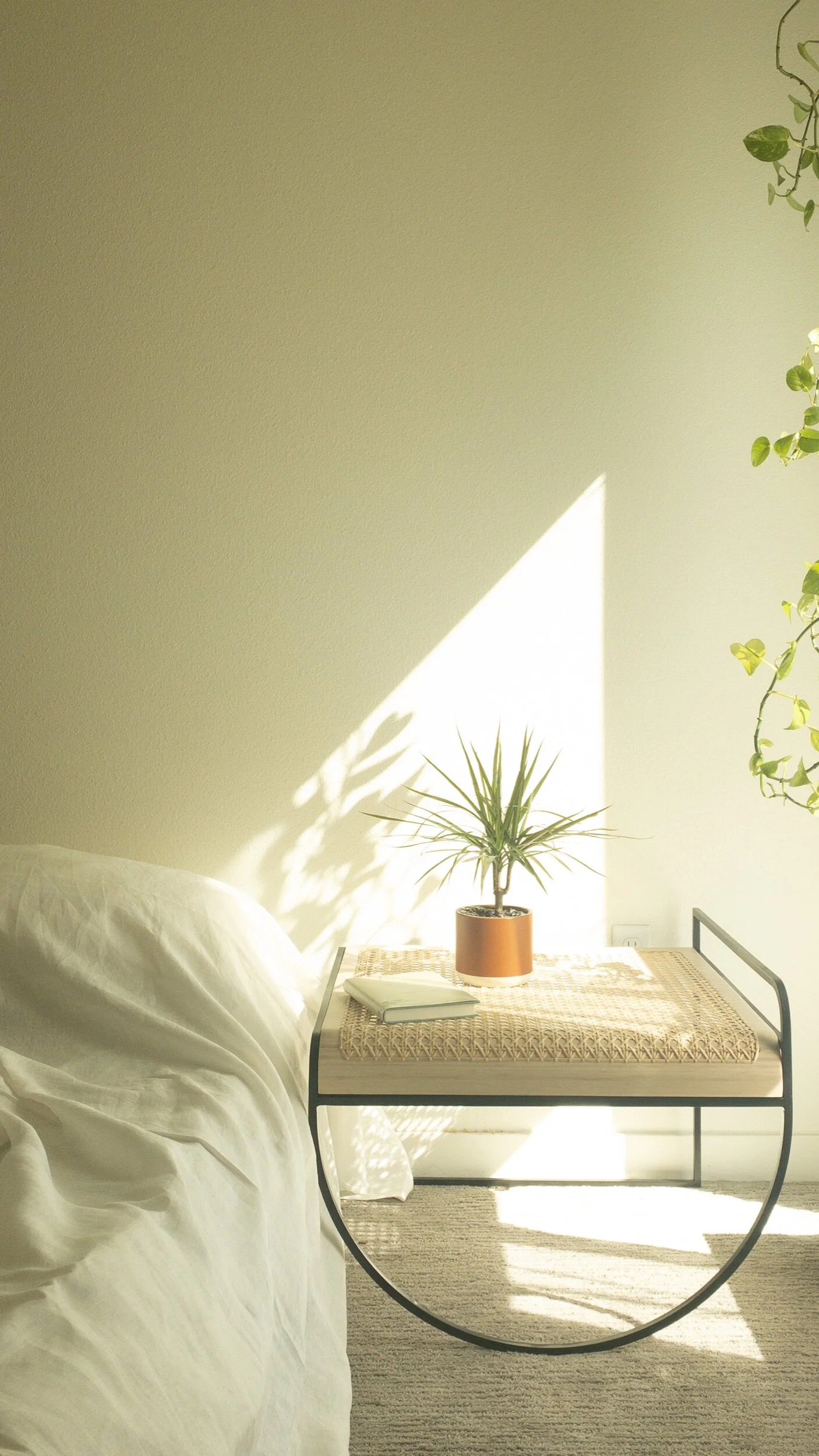 2EE7443D-6E6C-4943-8AE5-F225096BF7F5