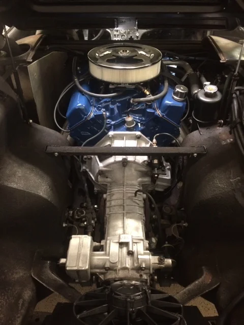 1971 Pantera engine (detail)