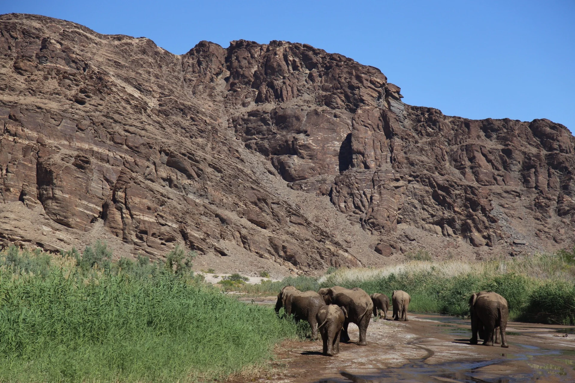 Skeleton Coast, Namibia
