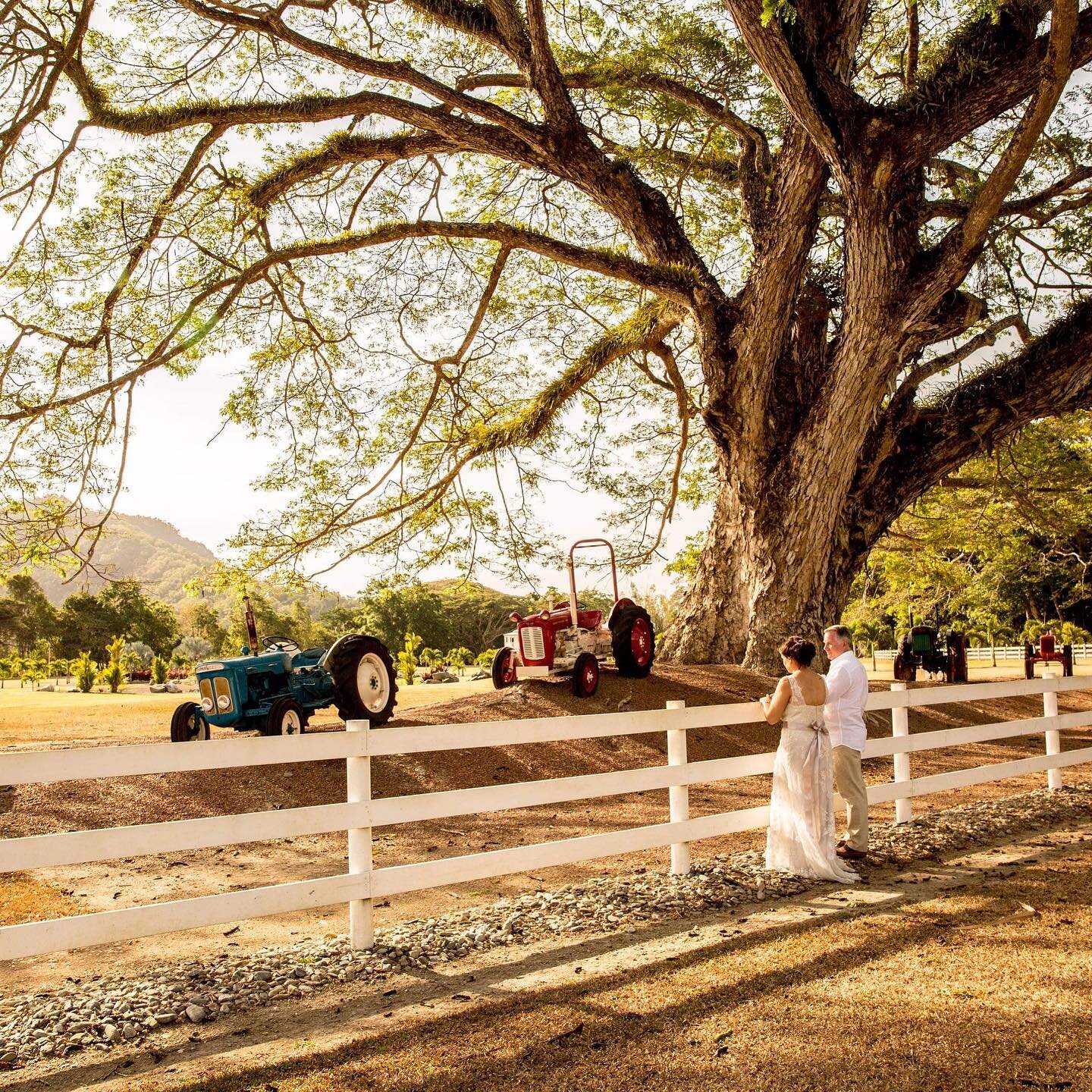This photo is from the first wedding I ever photographed. It a iconic property in Mowbray Valley and now this beautiful property is available for weddings 😍 check it out. @portdouglaslakesideretreat