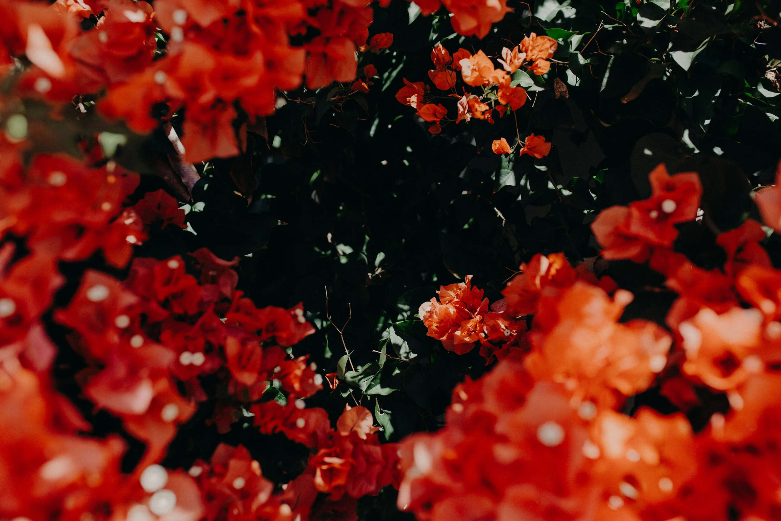 Canon-Canon EOS 5D Mark III-5760x3840-002420.jpg