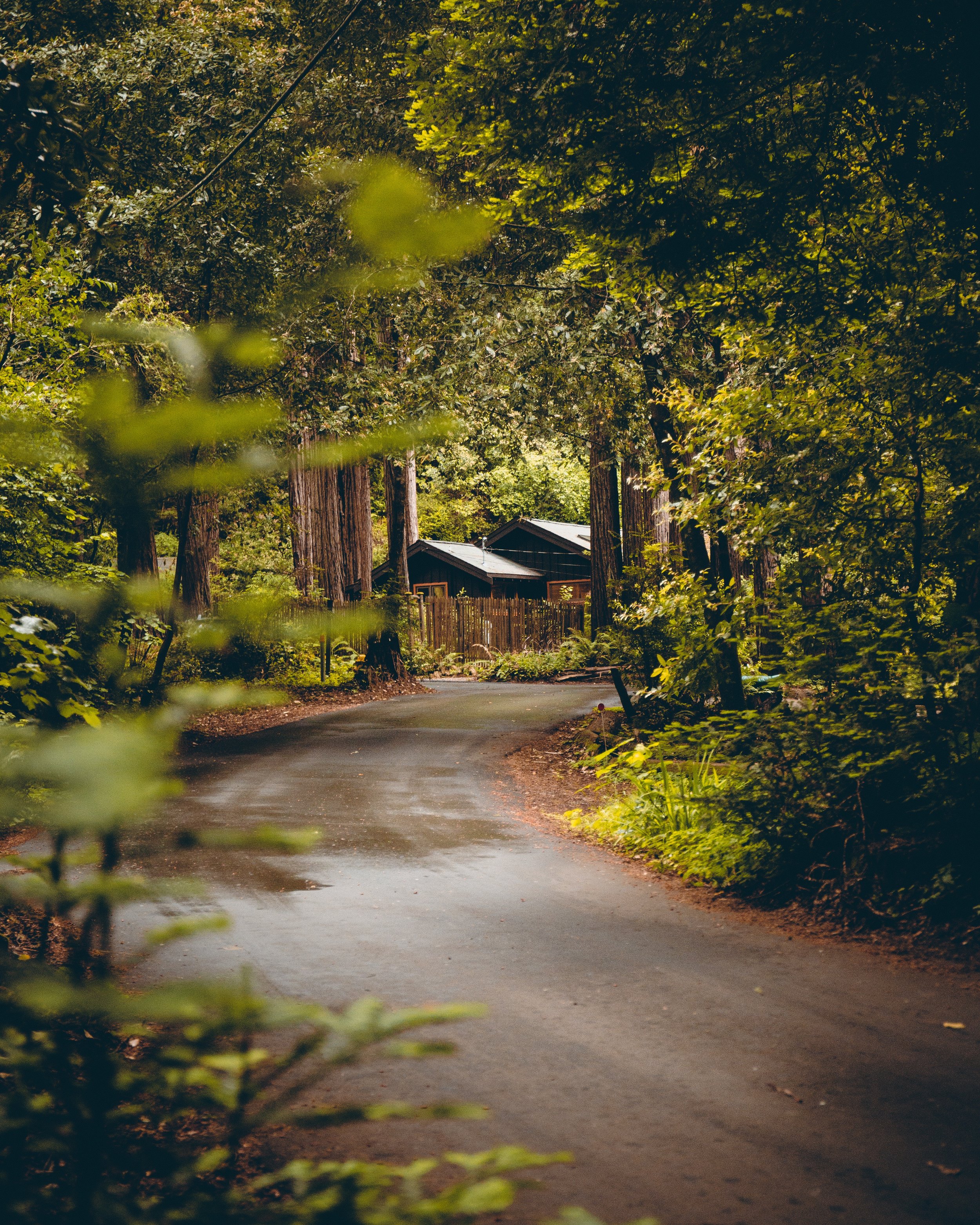 dane-deaner-708659-unsplash.jpg