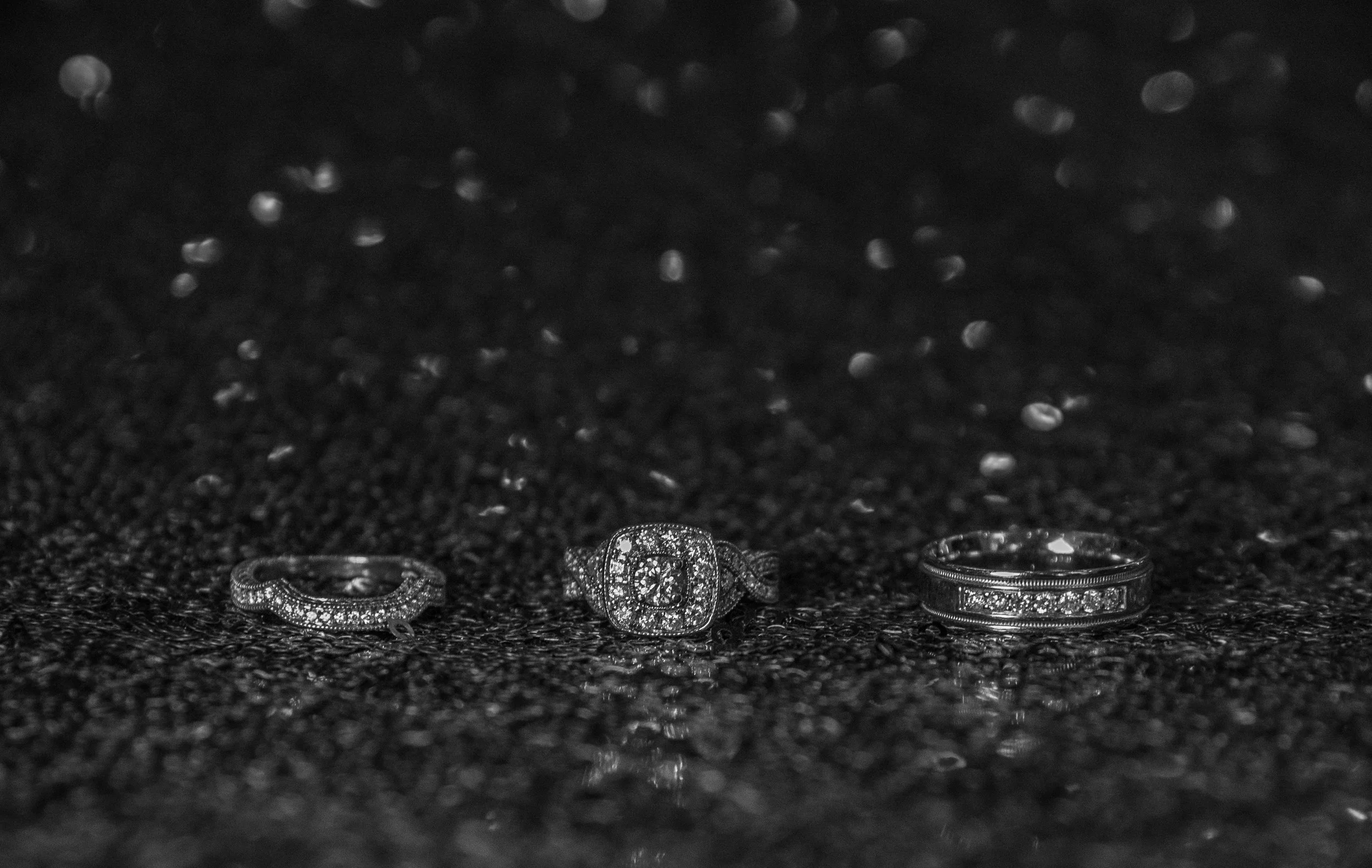 DSC_8035.jpg
