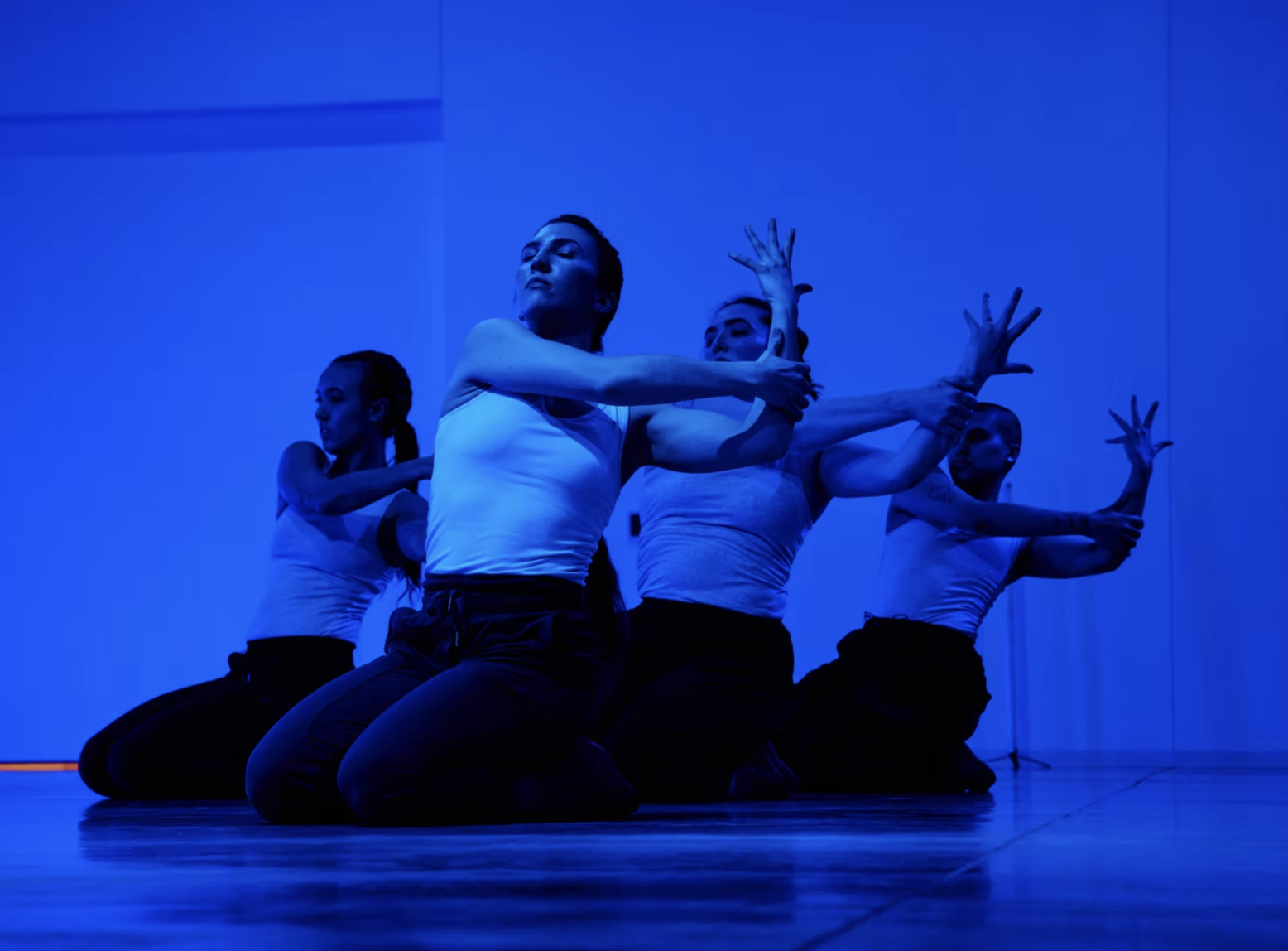 Screen Shot 2026-01-15 at 5.52.17 PM.png