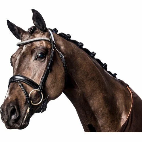 HorseGuard Ergo Trinse