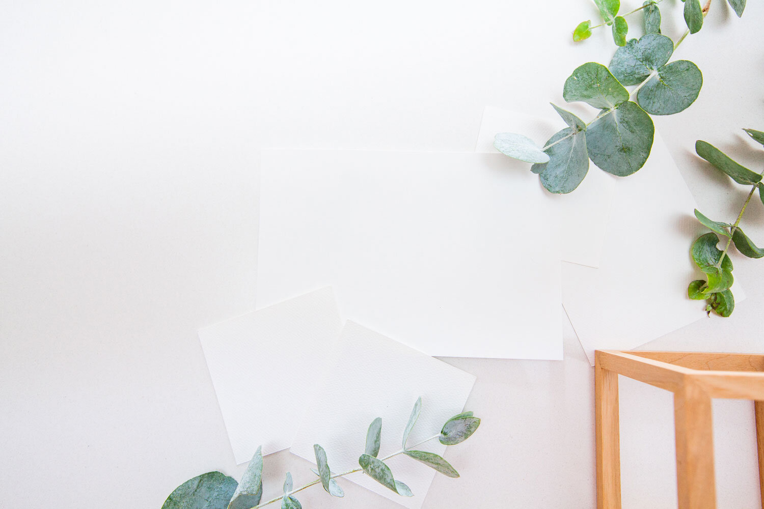 Paper-&-Blue-Gum-Background.jpg