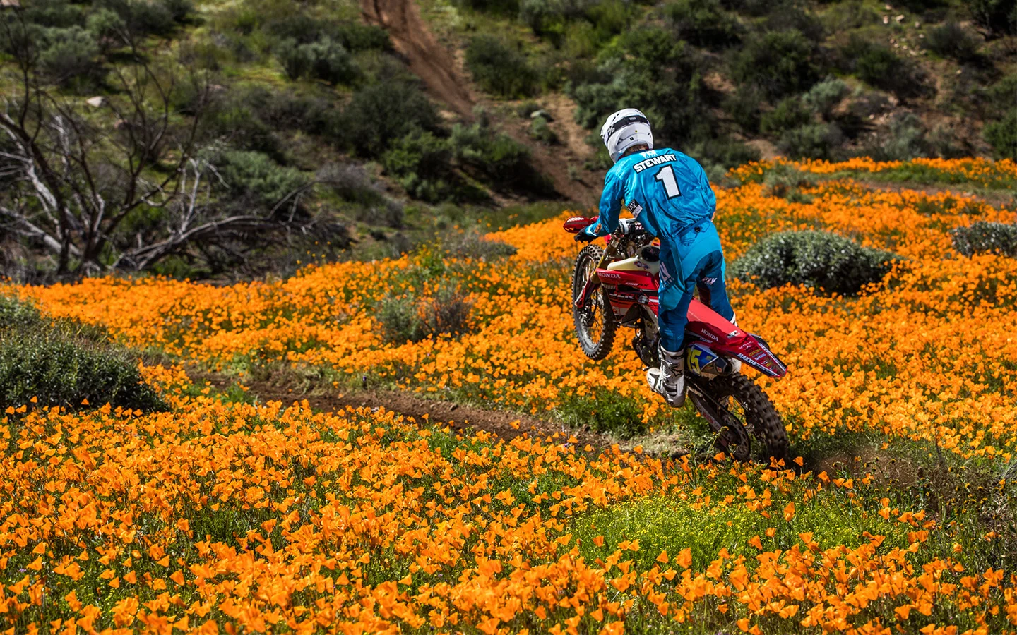 Red Perspective Ep.3 with JCR Honda's Trevor Stewart