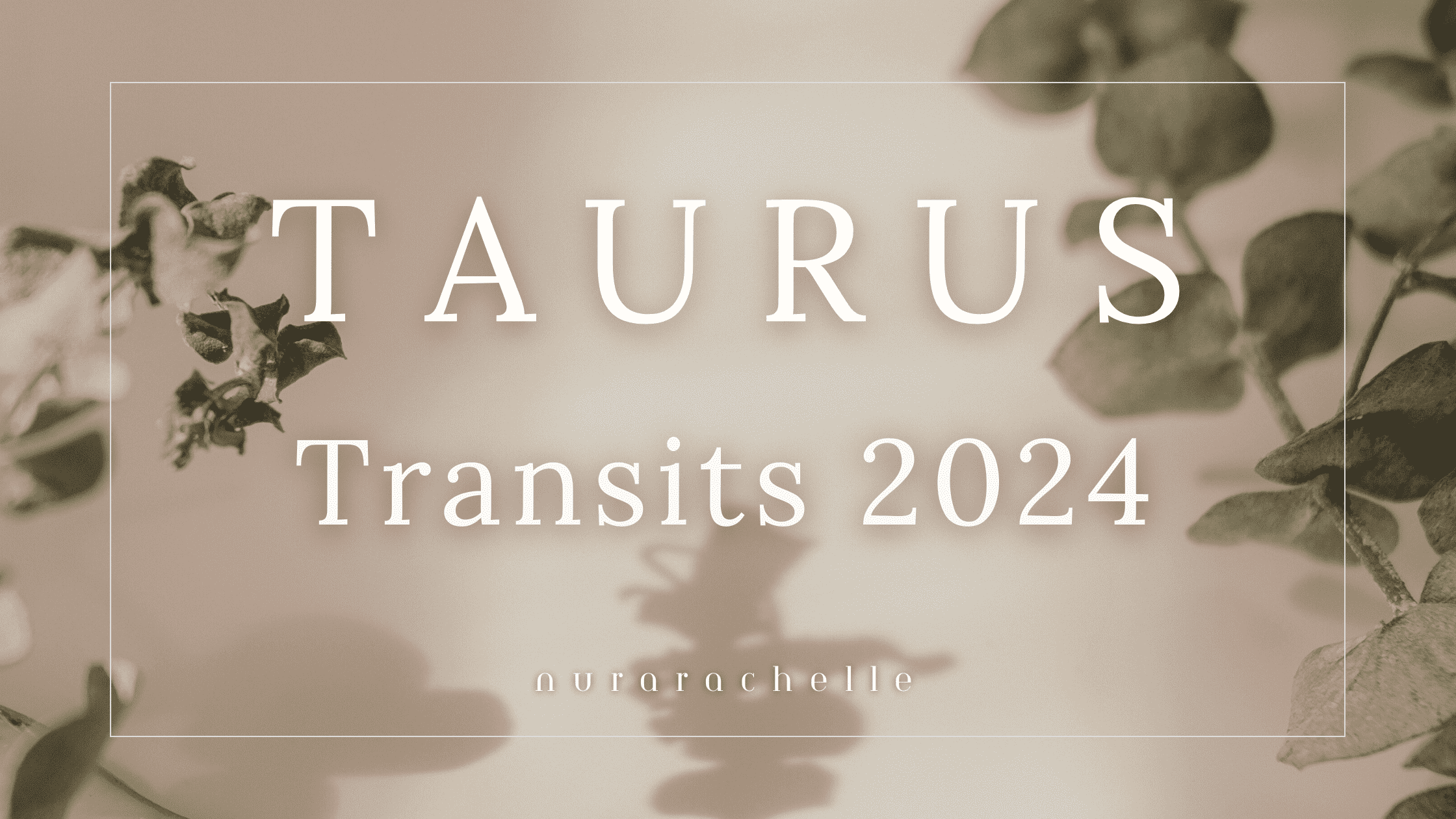 TAURUS TRANSITS