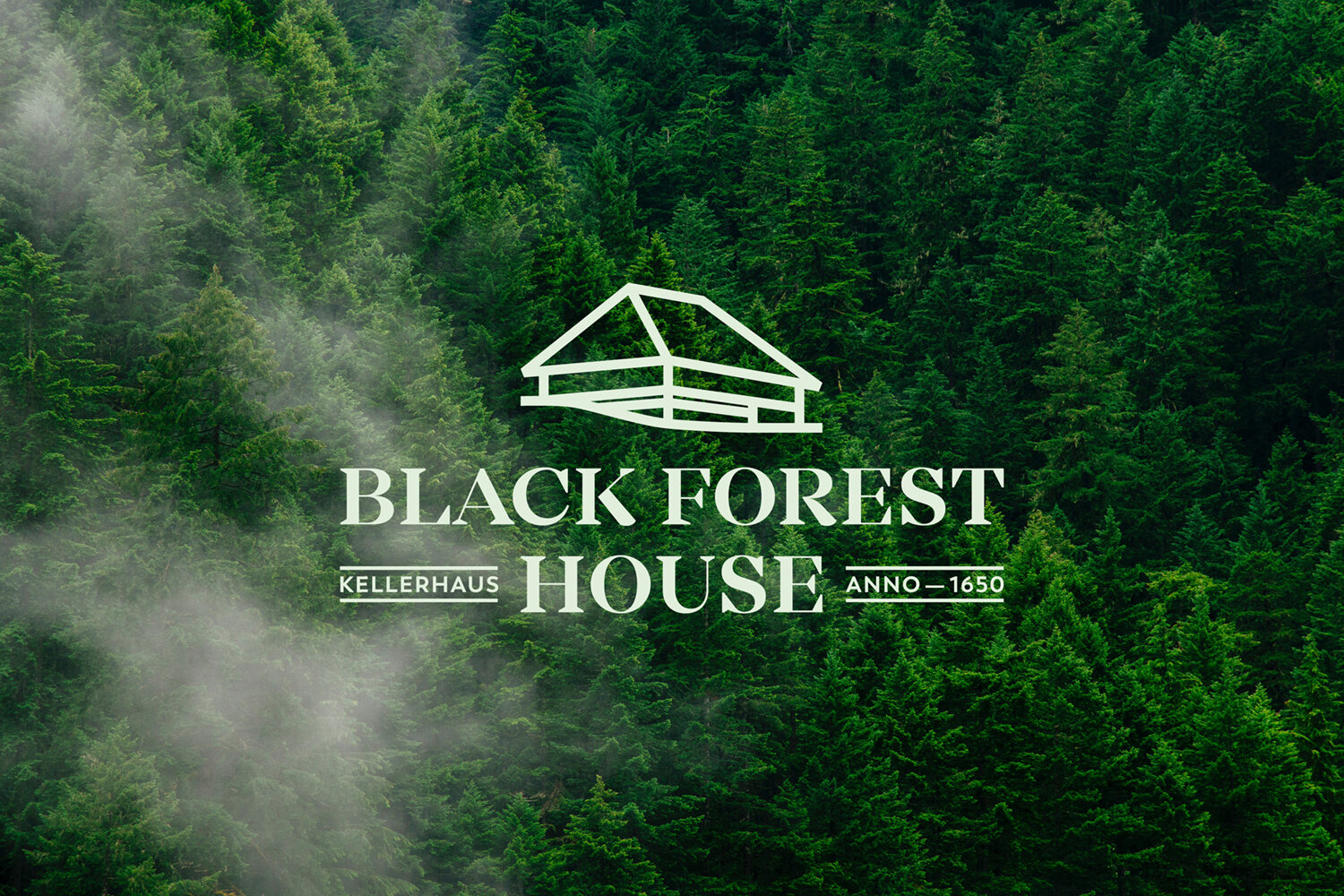 Hochstrasser_BlackForestHouse_Preview.jpg
